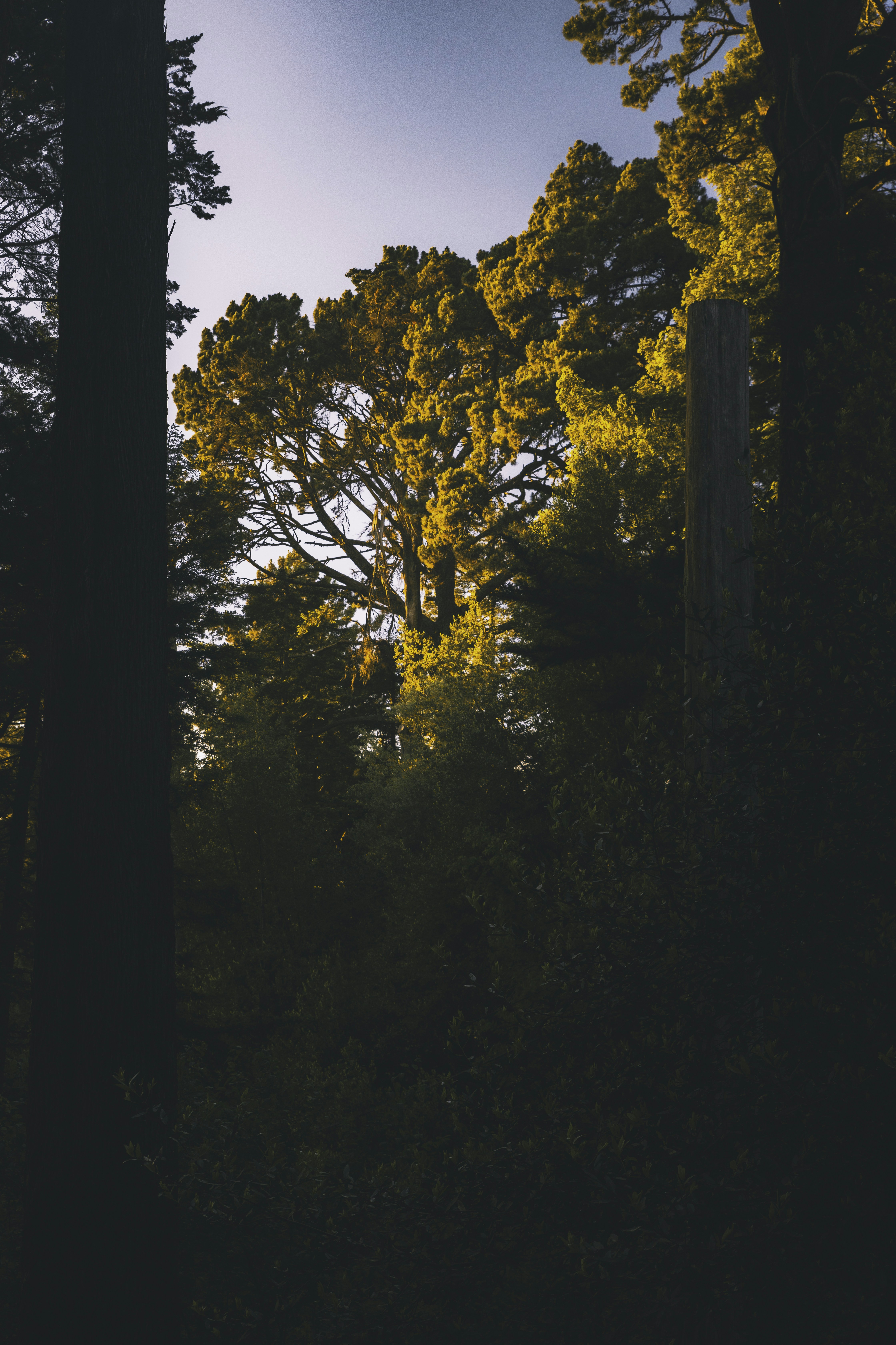 Photo by grahamklingler