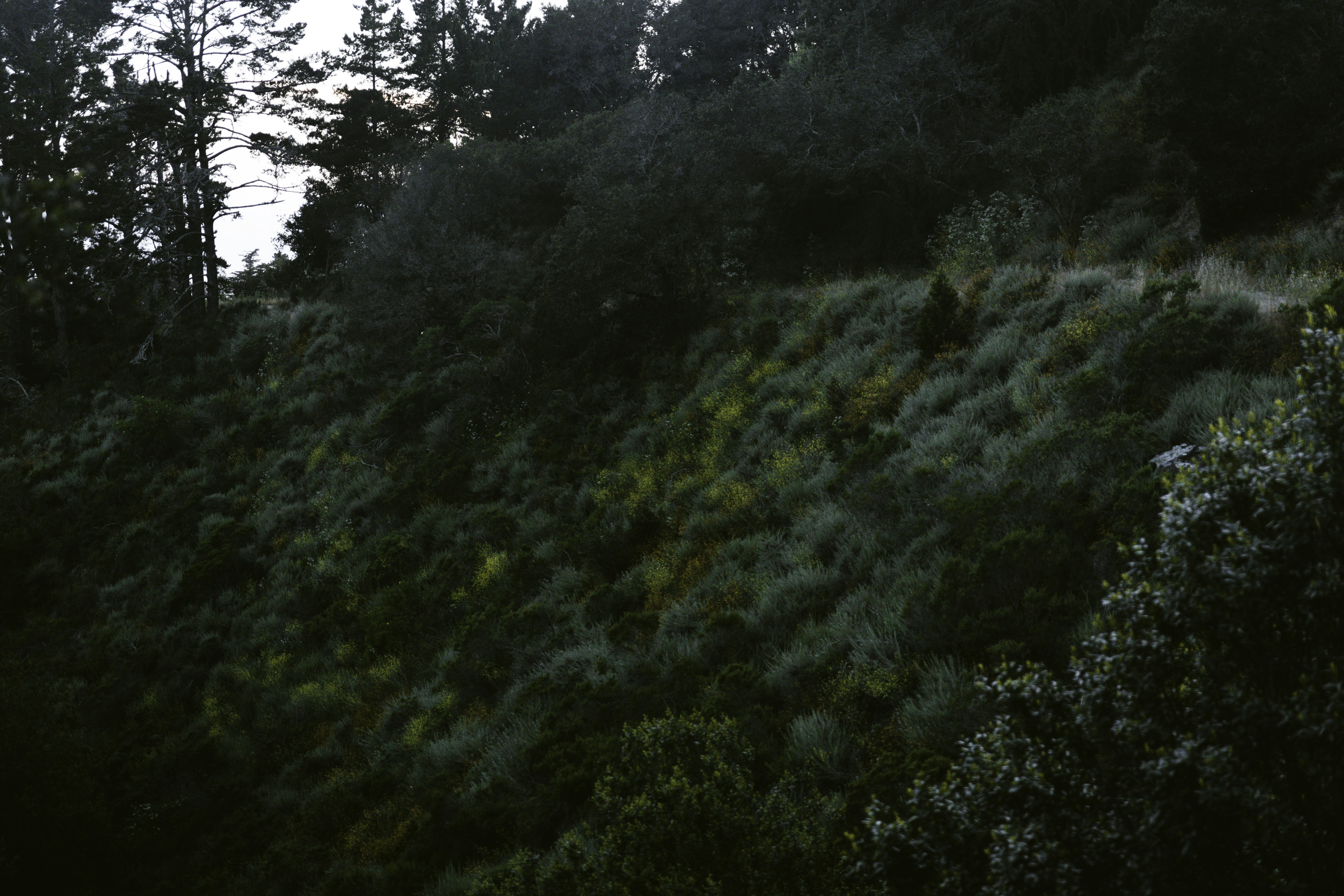 Photo by grahamklingler