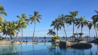 a large swimming pool surrounded by palm trees