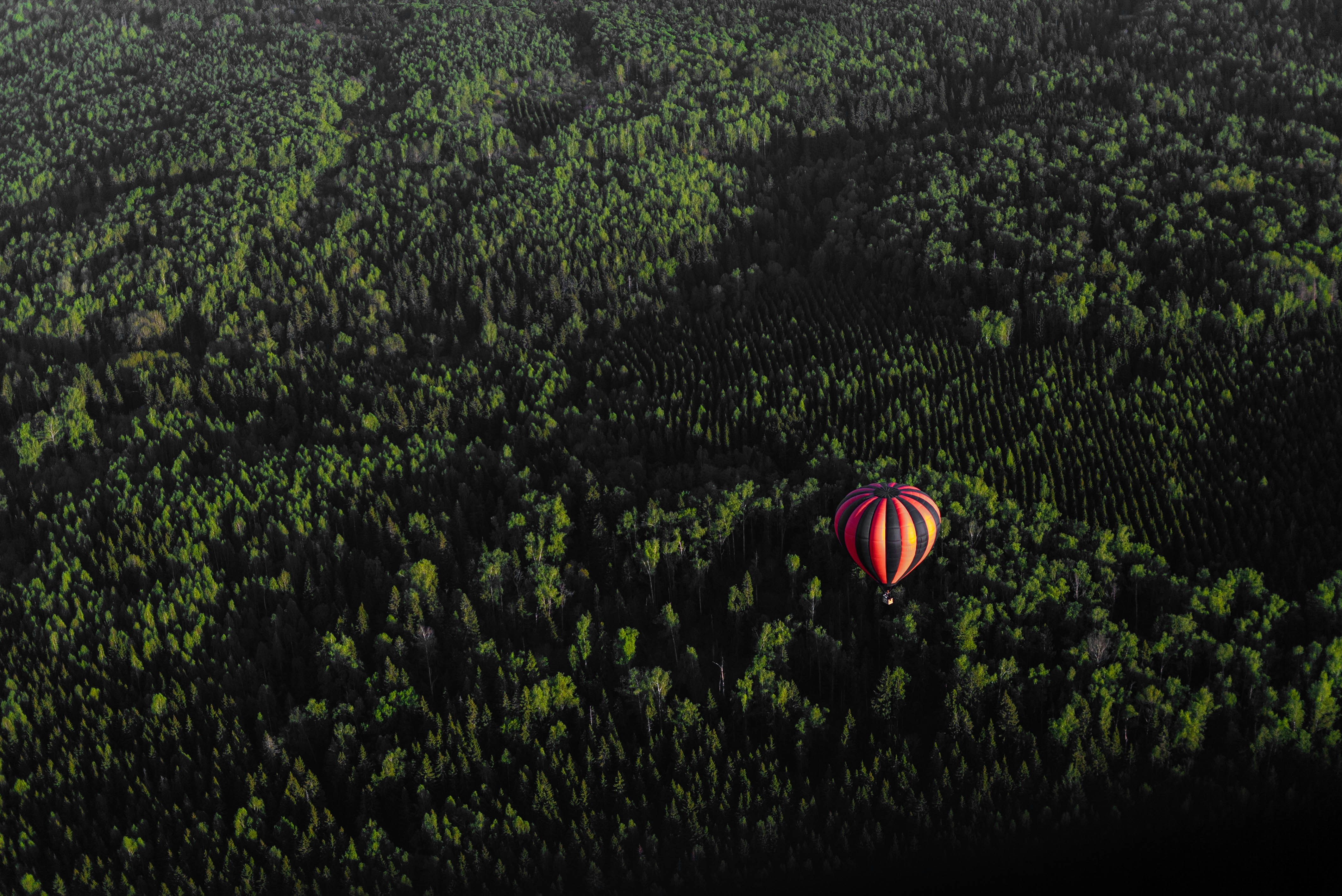 Image by Vlad ION via Unsplash