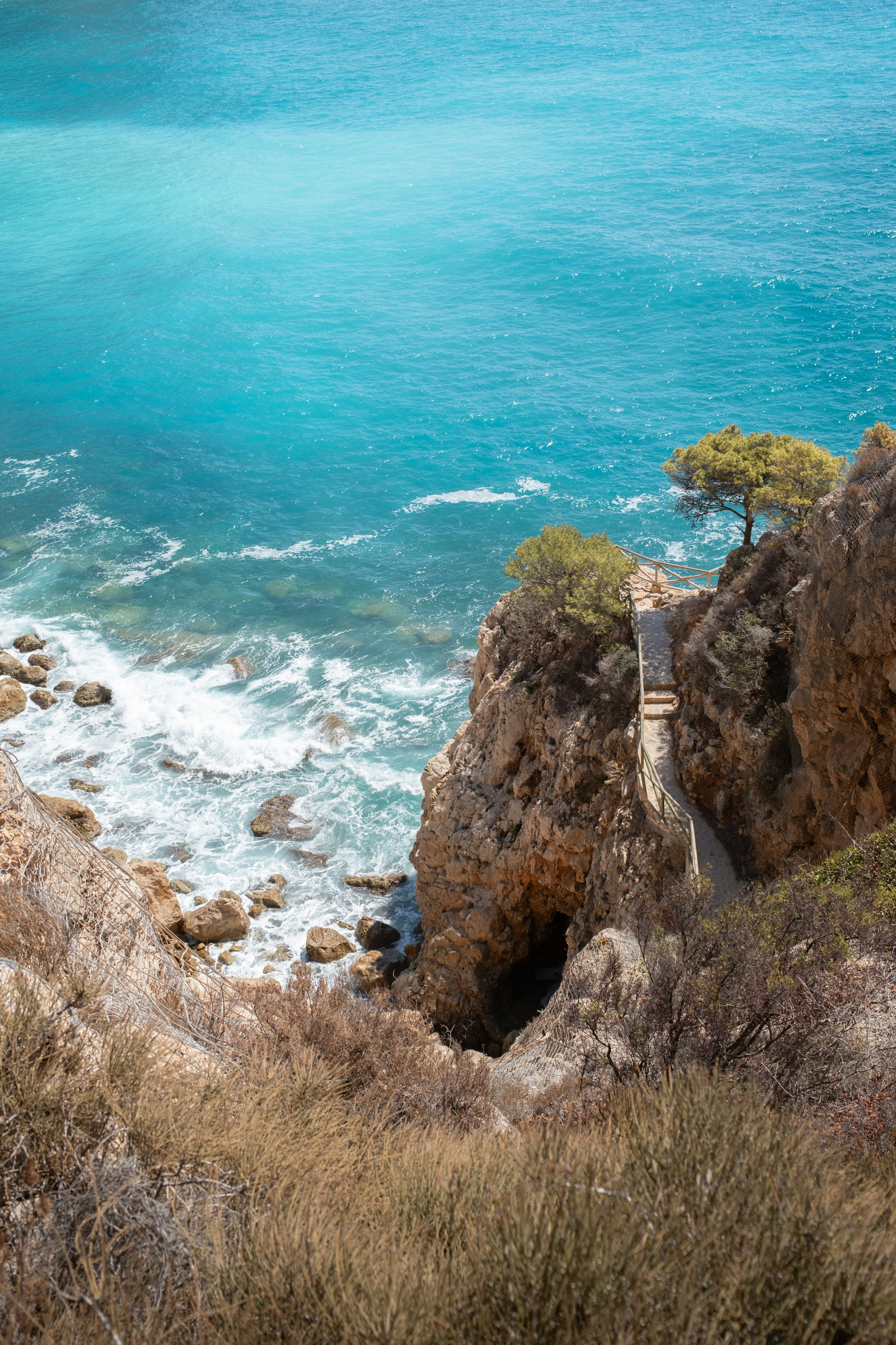 a-lone-tree-on-a-cliff-overlooking-the-ocean-Ue1W2KhtE7w