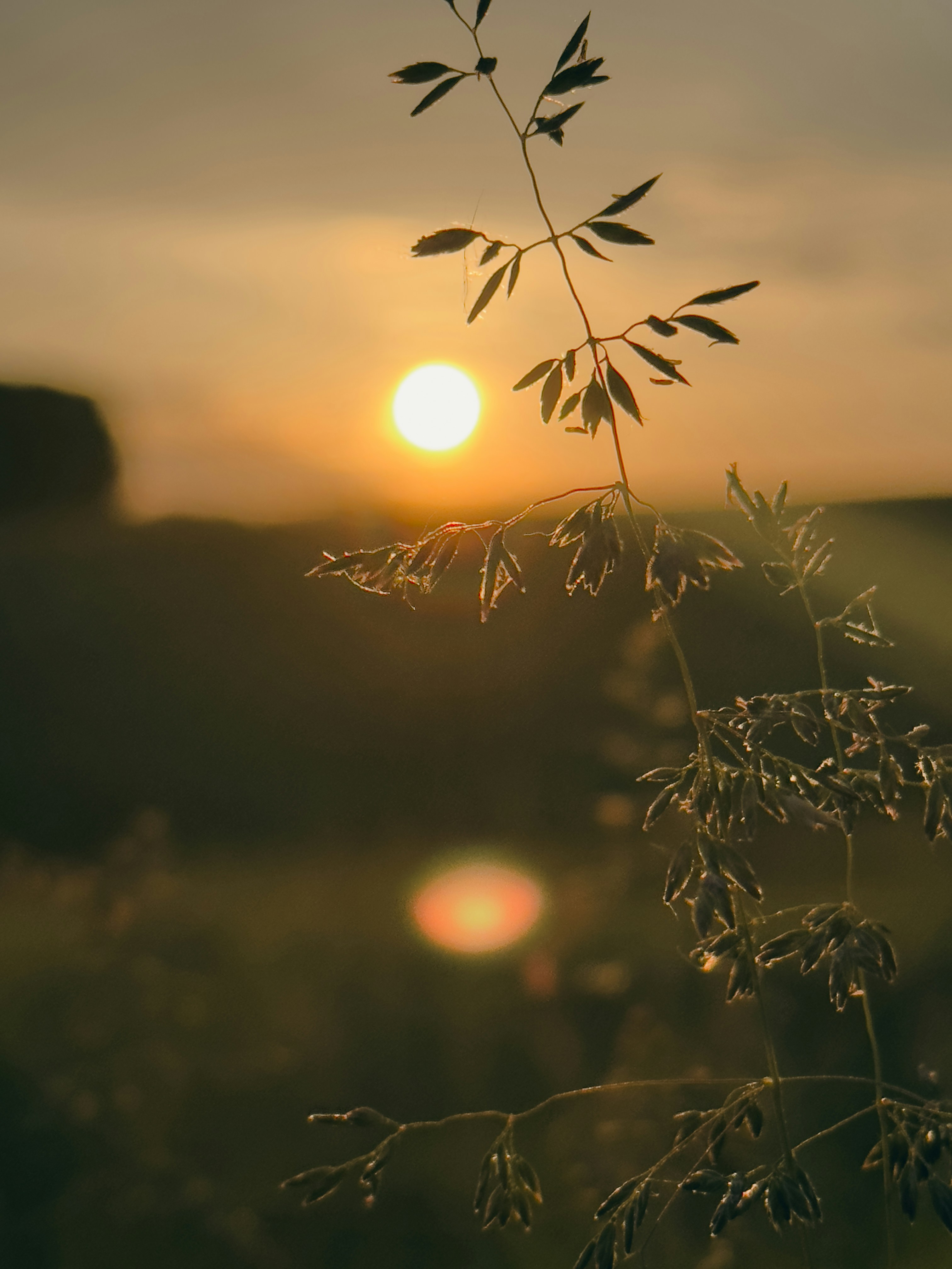 Photo by maximpotyomkin