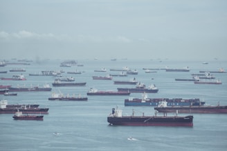 a large body of water filled with lots of boats
