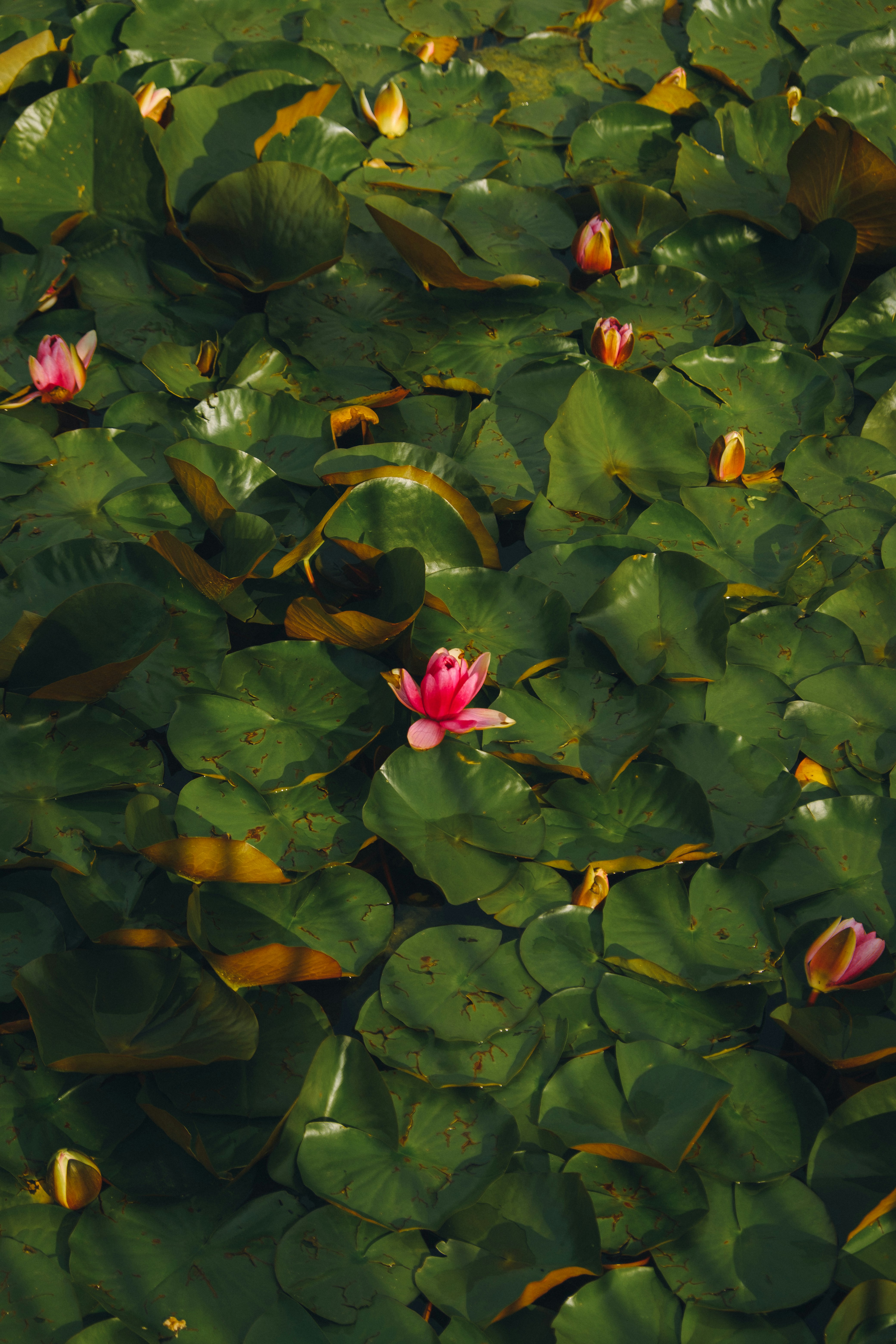 Photo by sunify