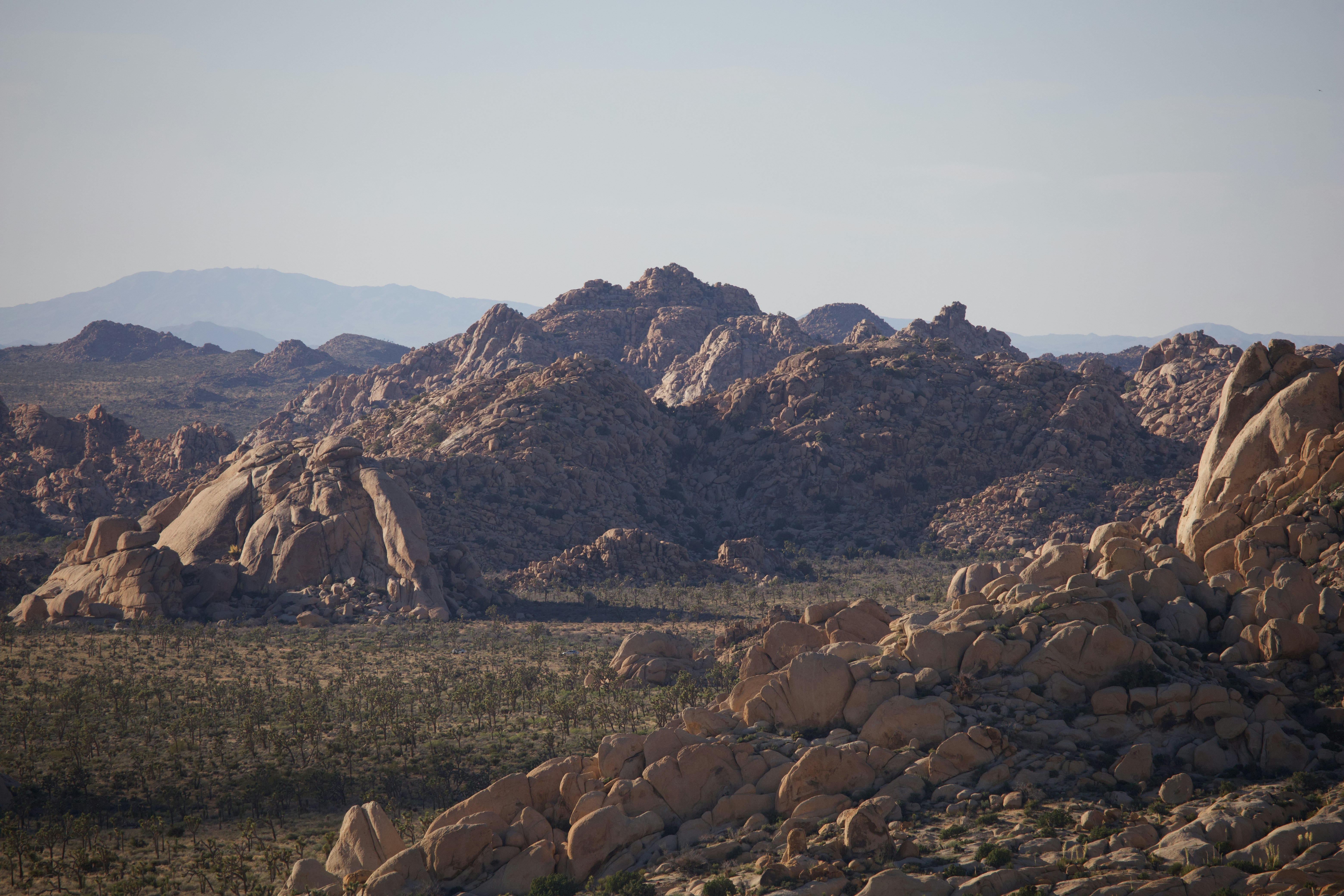 Photo by abhi_dasari