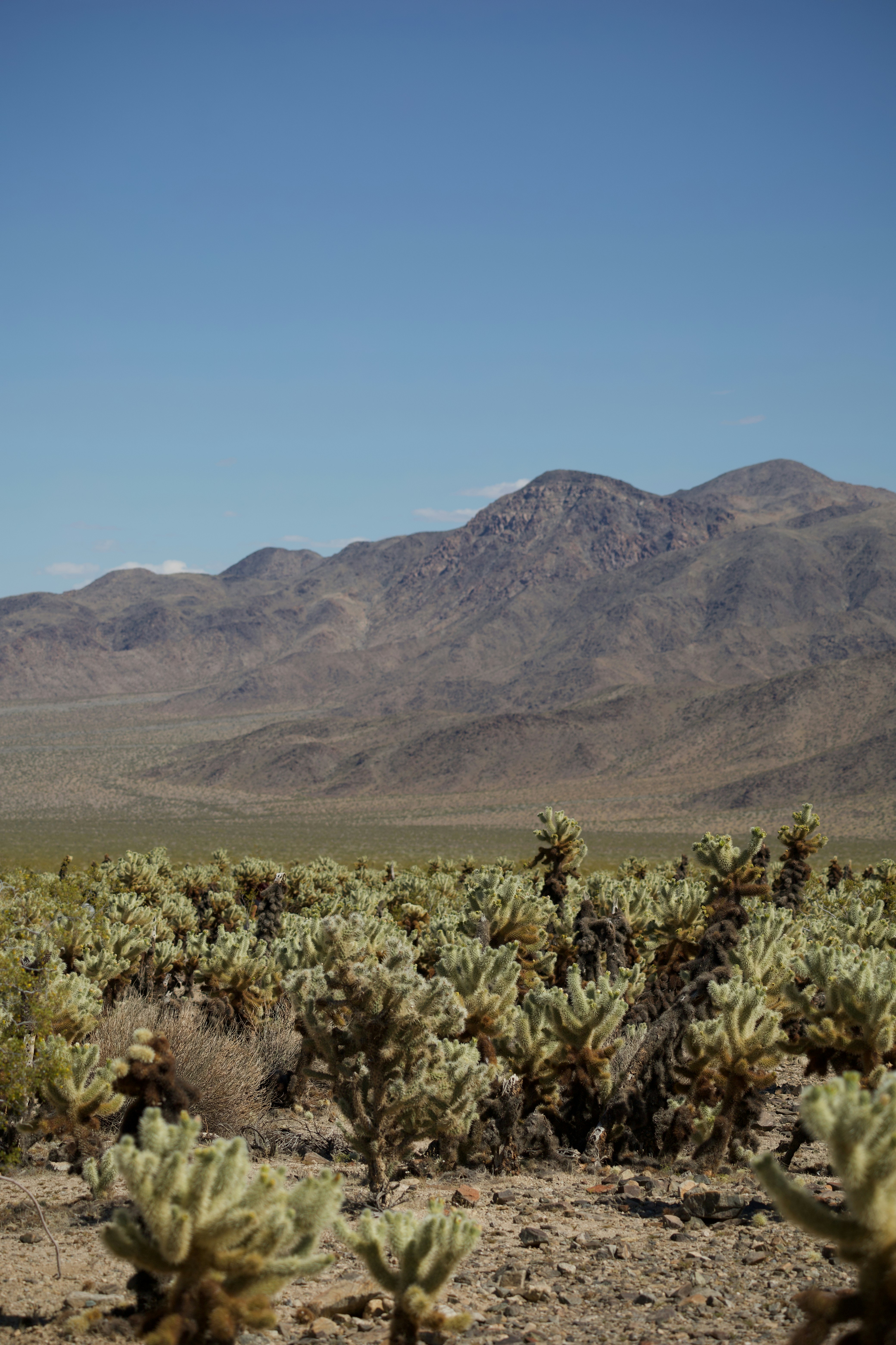 Photo by abhi_dasari