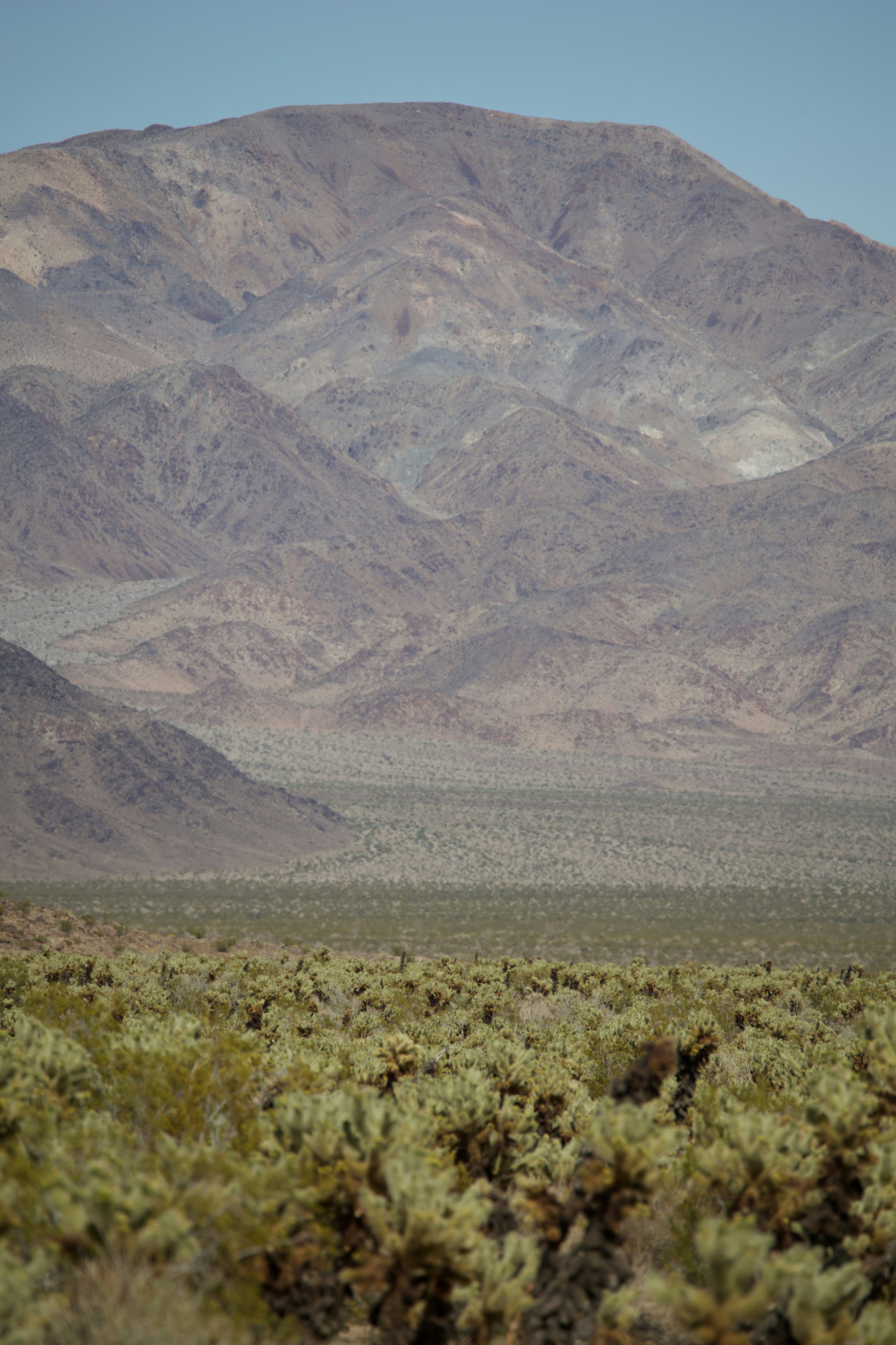 Photo by abhi_dasari