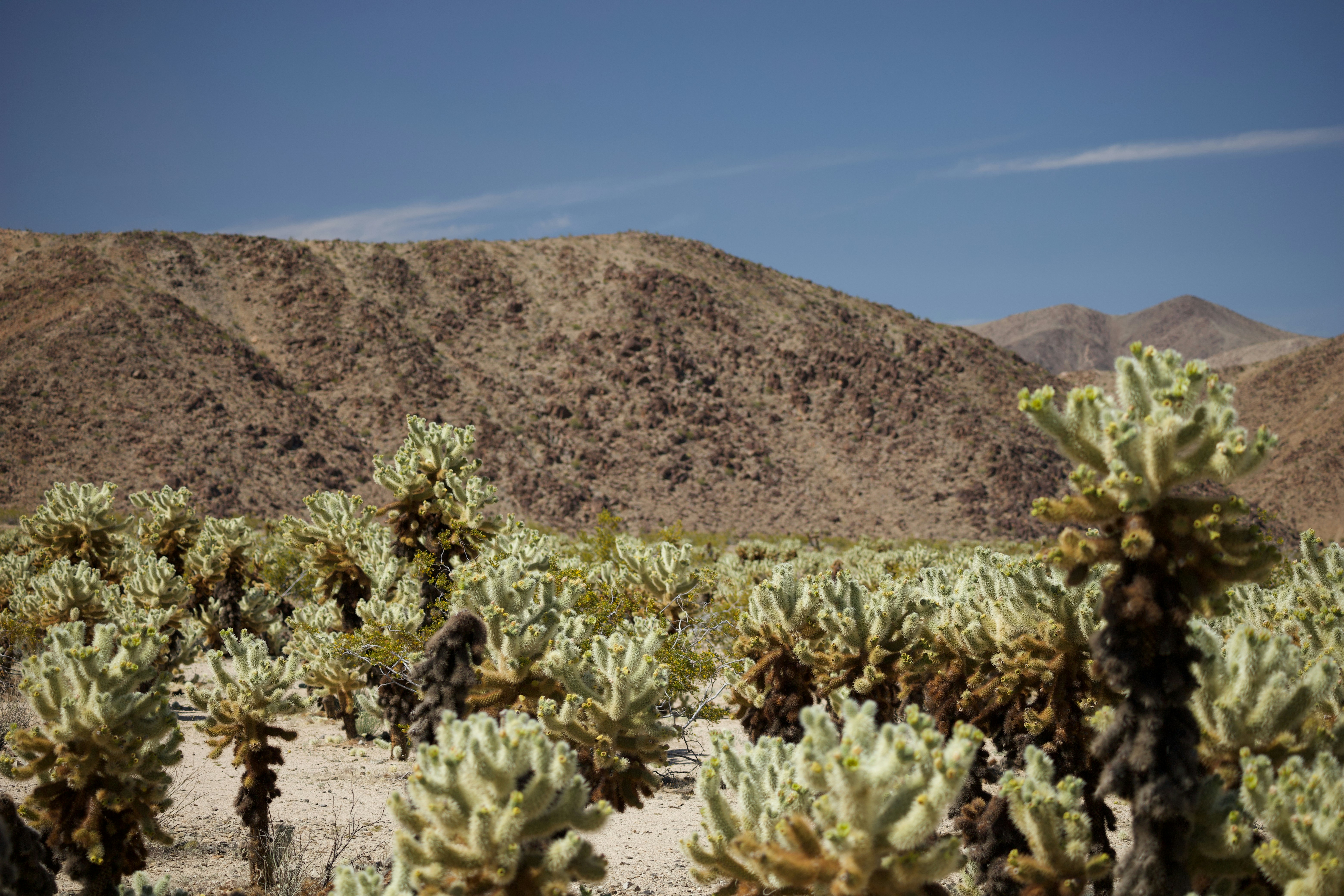 Photo by abhi_dasari