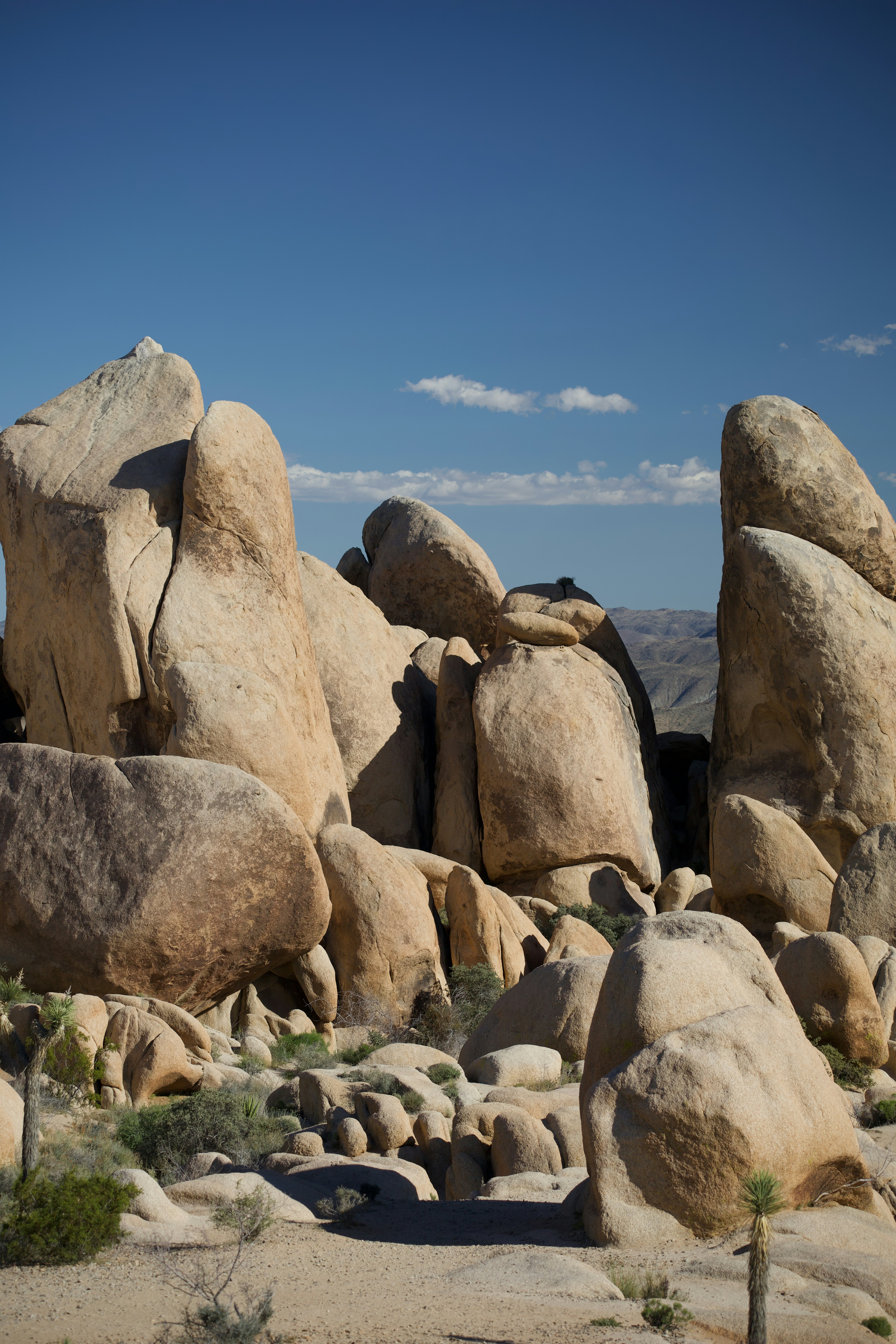 Photo by abhi_dasari