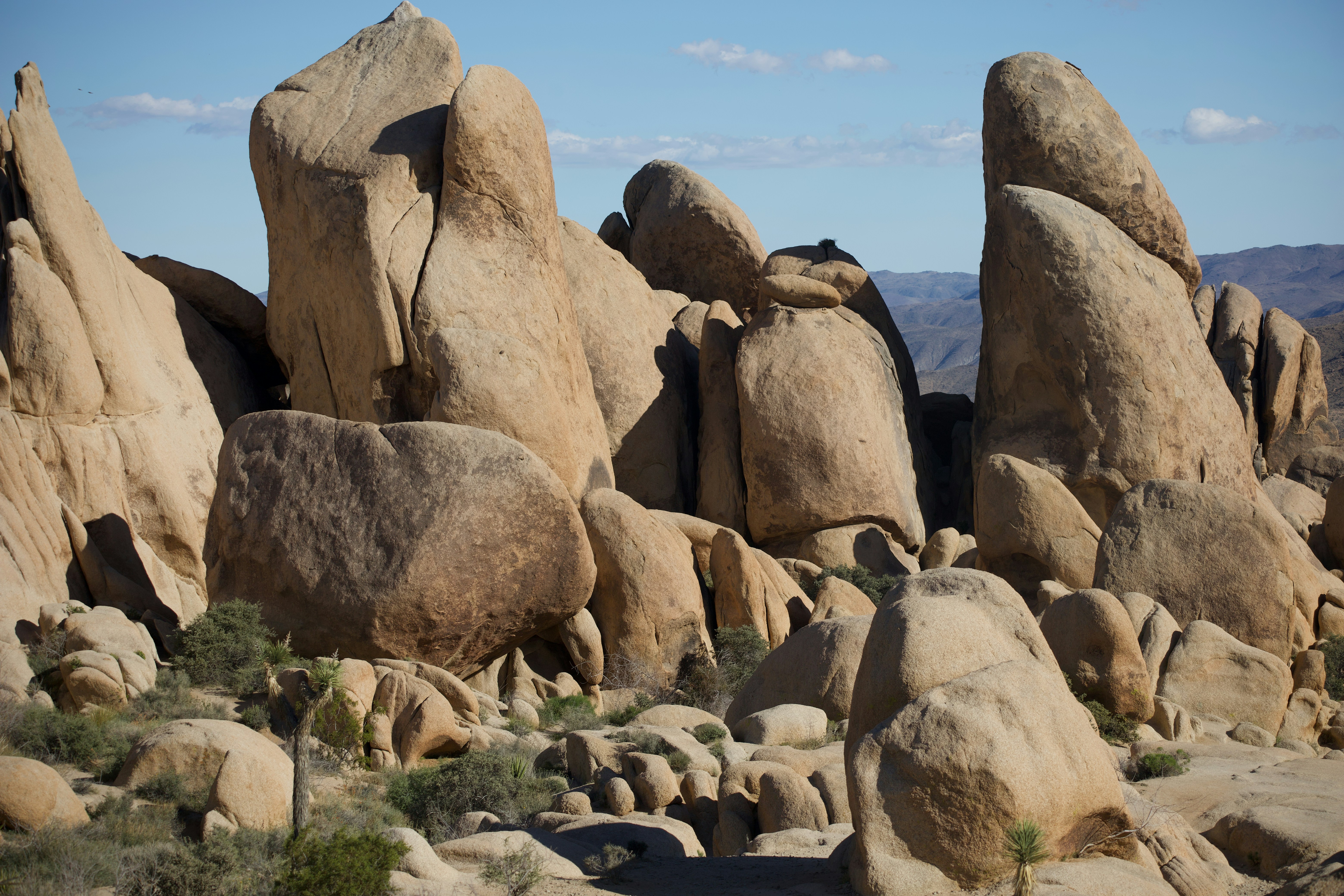 Photo by abhi_dasari