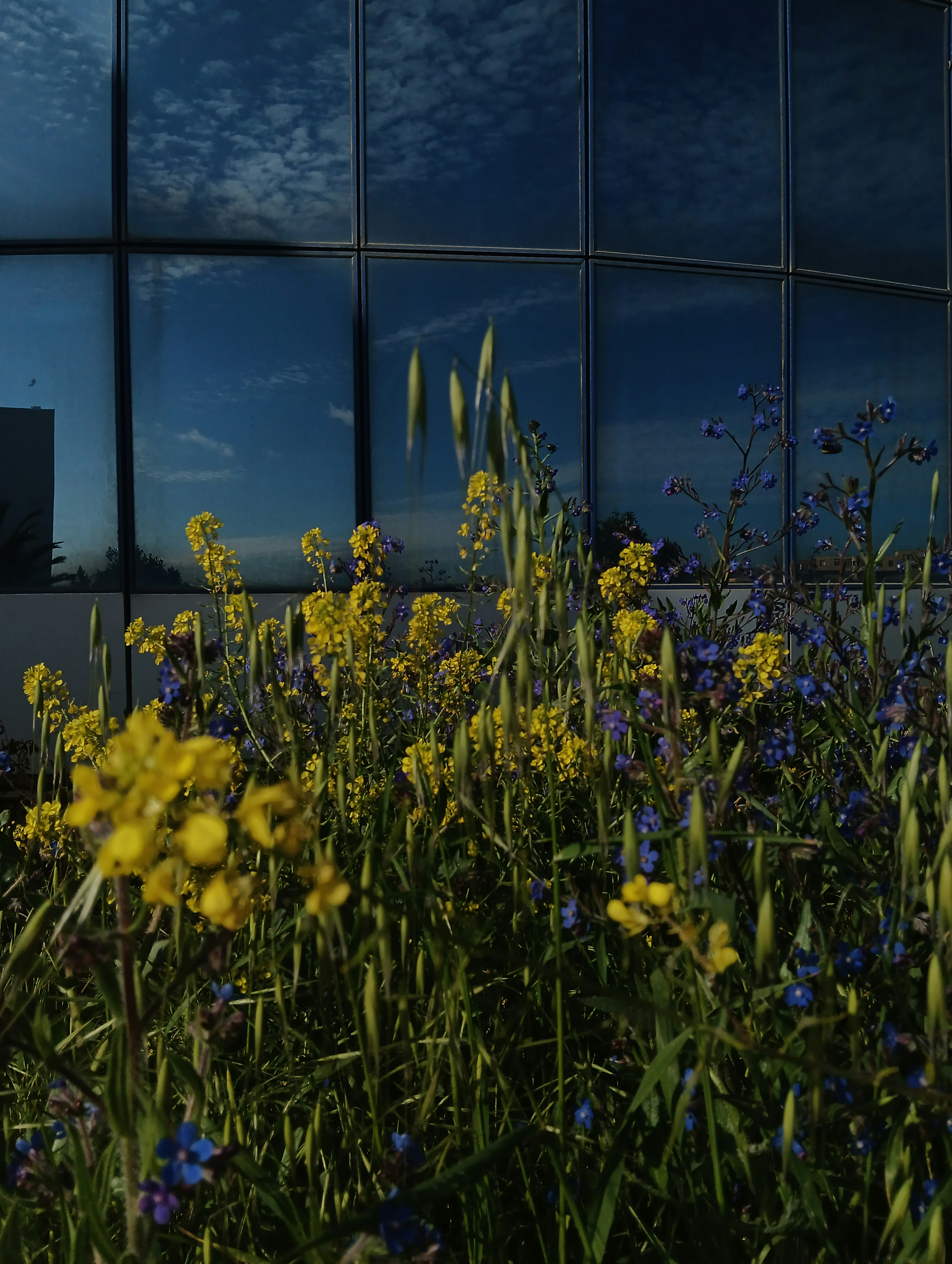a bunch of flowers that are in front of a building