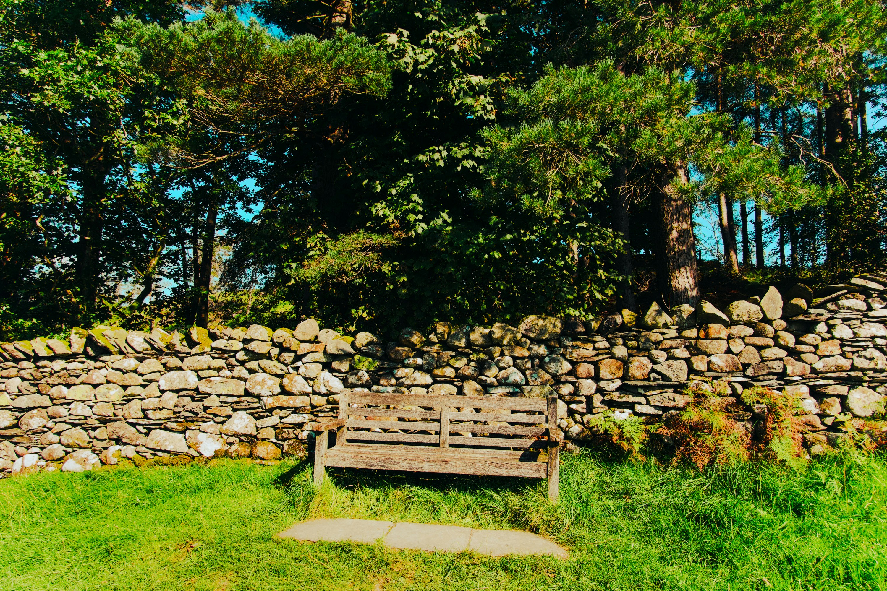 벤치프레스 무게별 기준! 초보부터 고급자까지 가이드