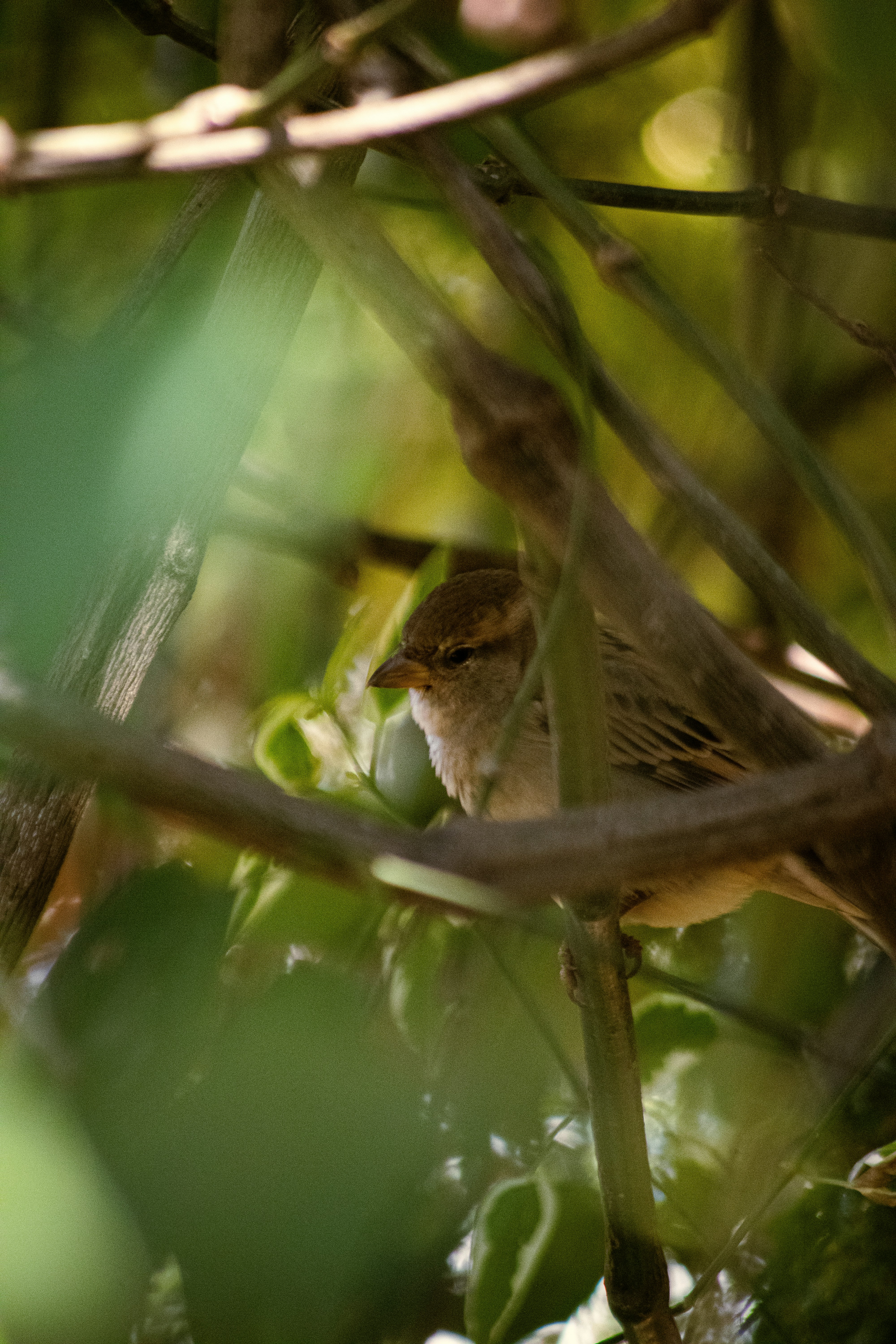 Photo by nata_alvess