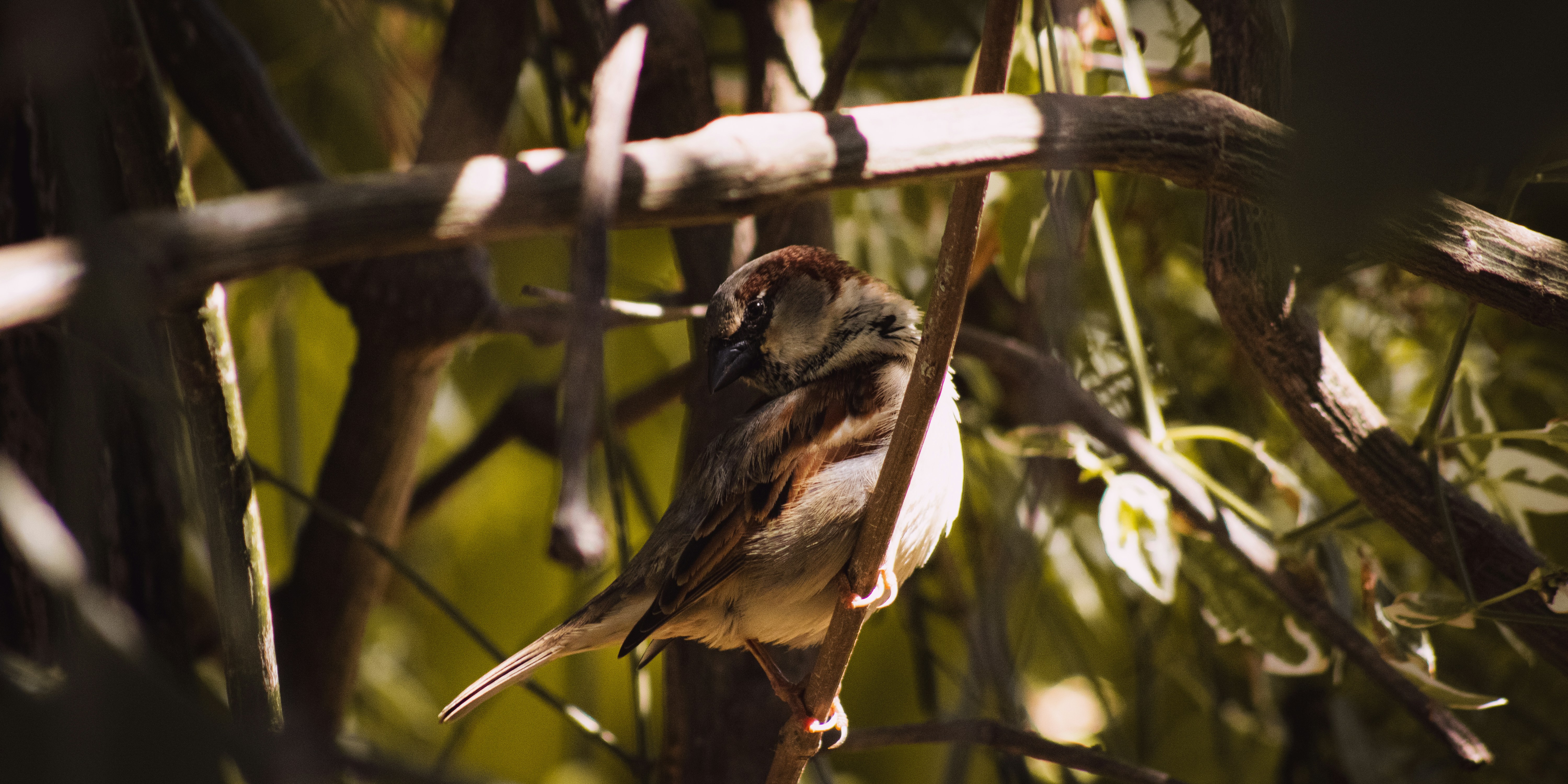 Photo by nata_alvess