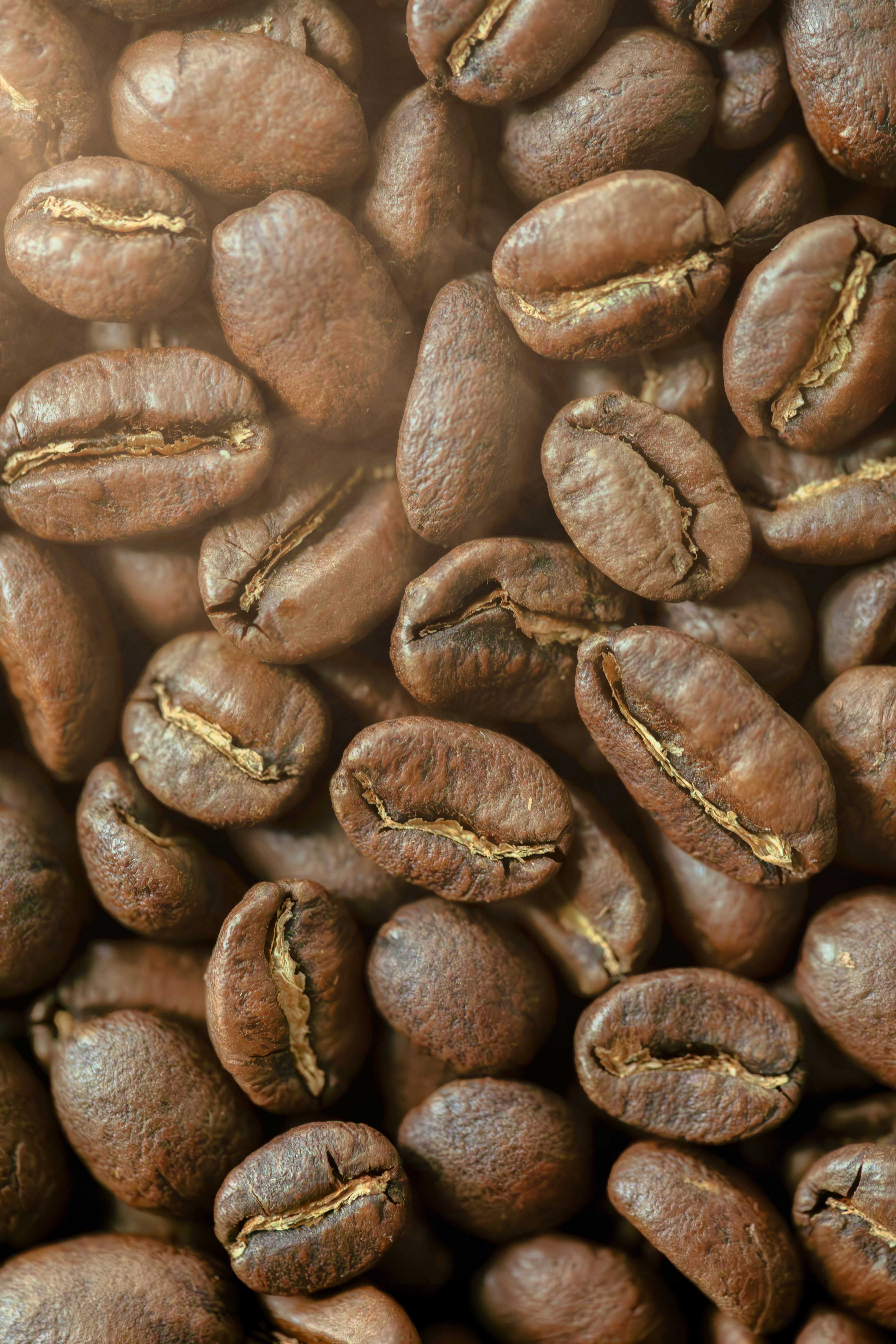 Artisan Coffee Roasts Selection 4