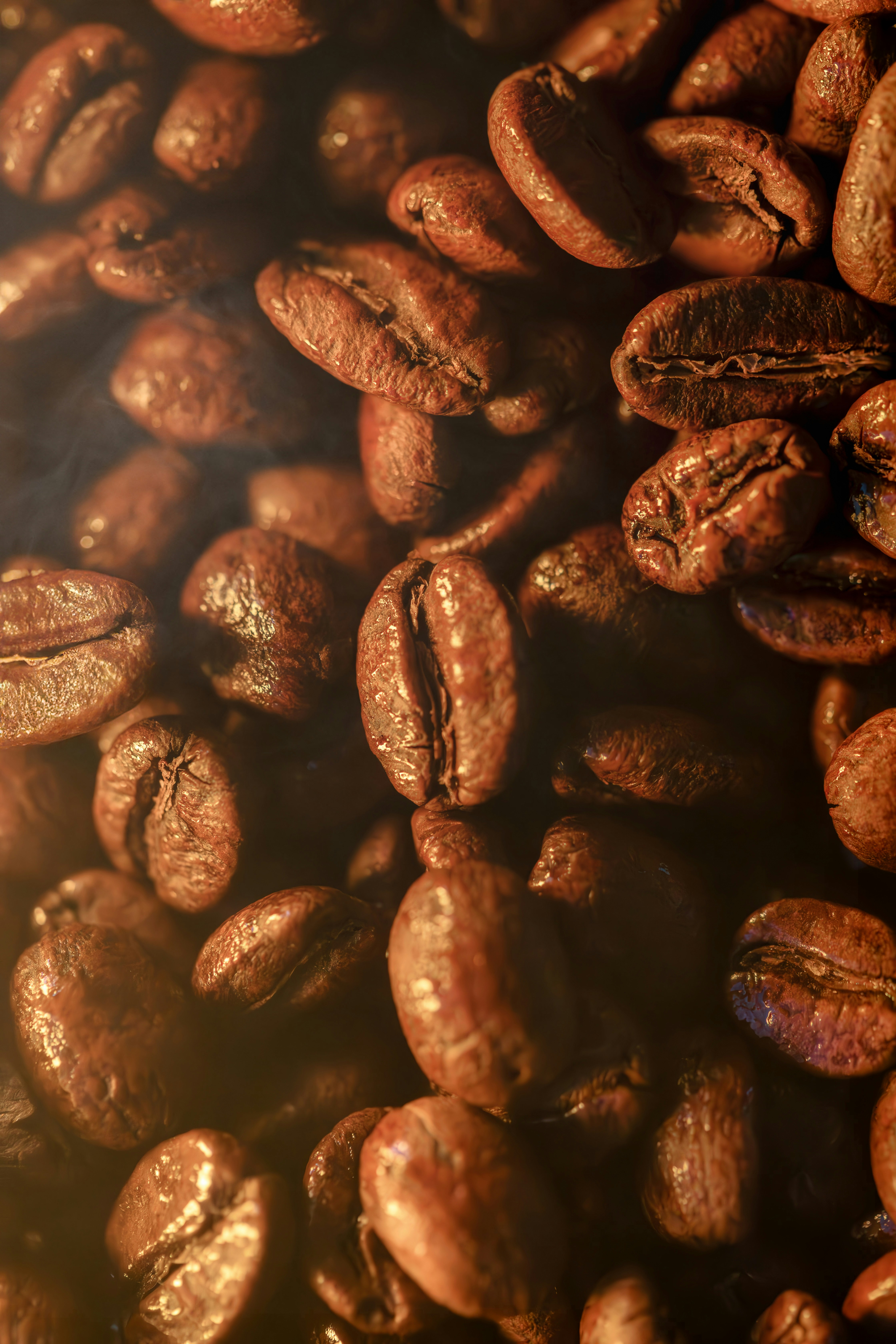 Artisan Coffee Roasts Selection 3