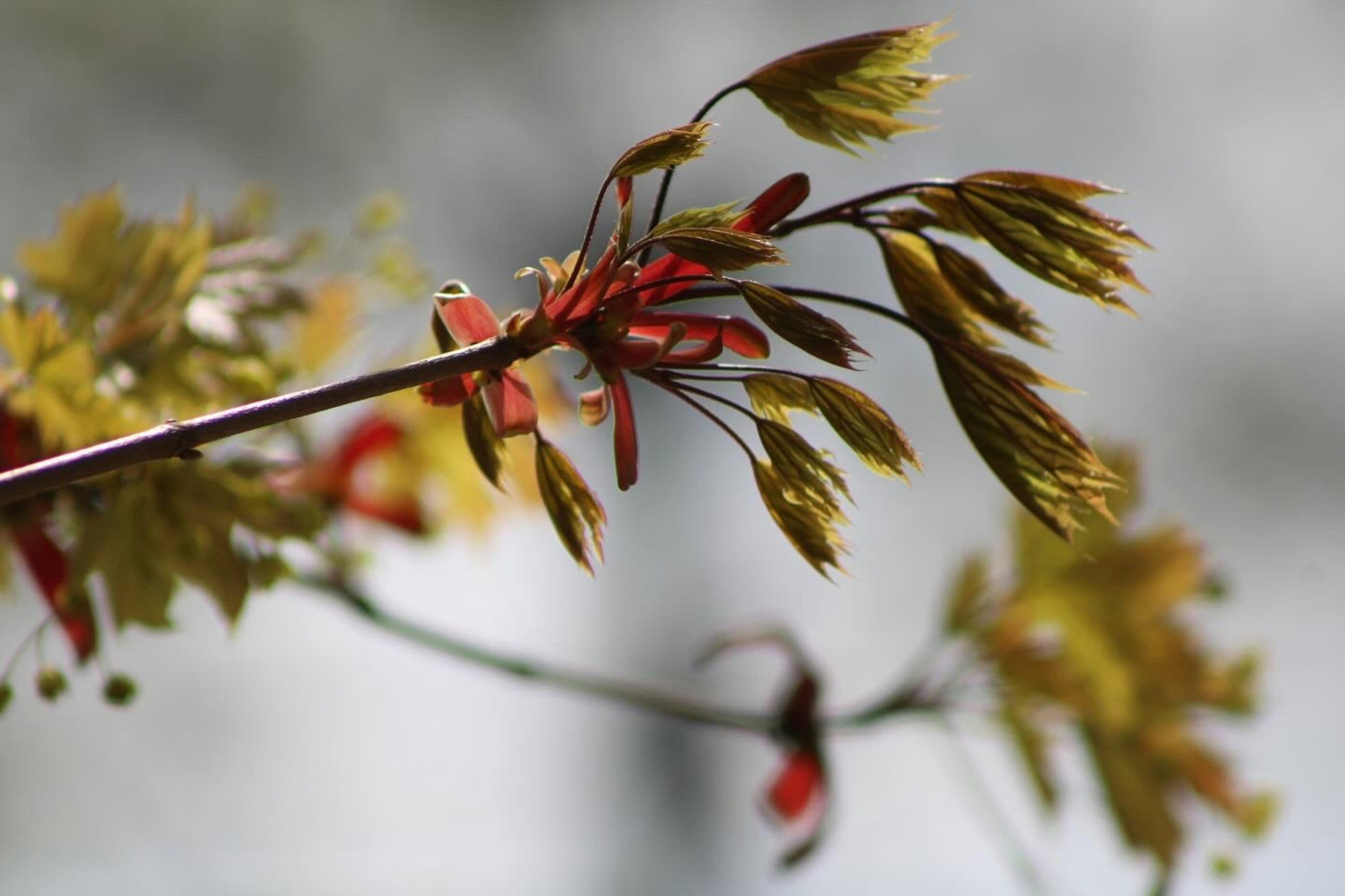 Photo by ken_rodriguez