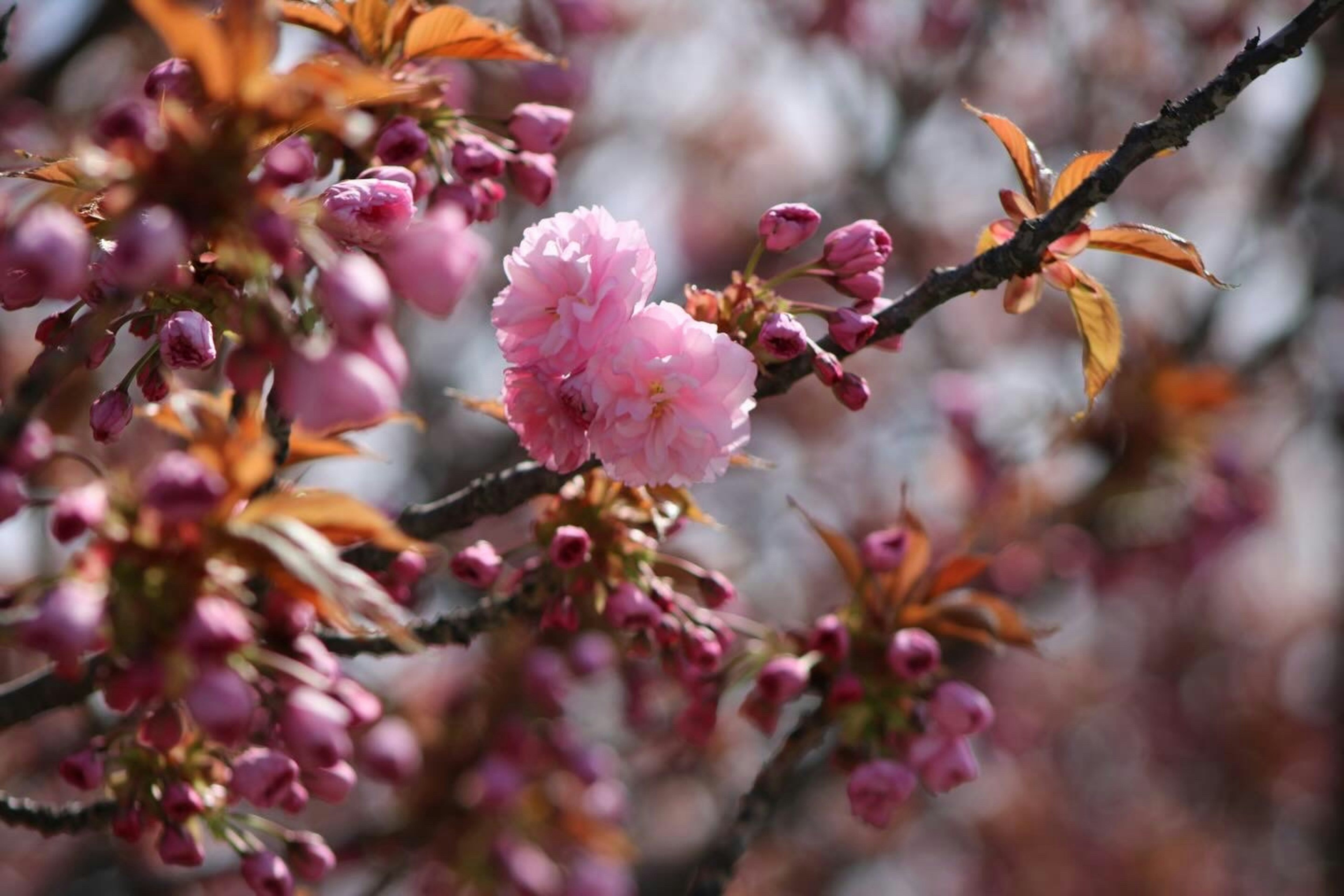 Photo by ken_rodriguez