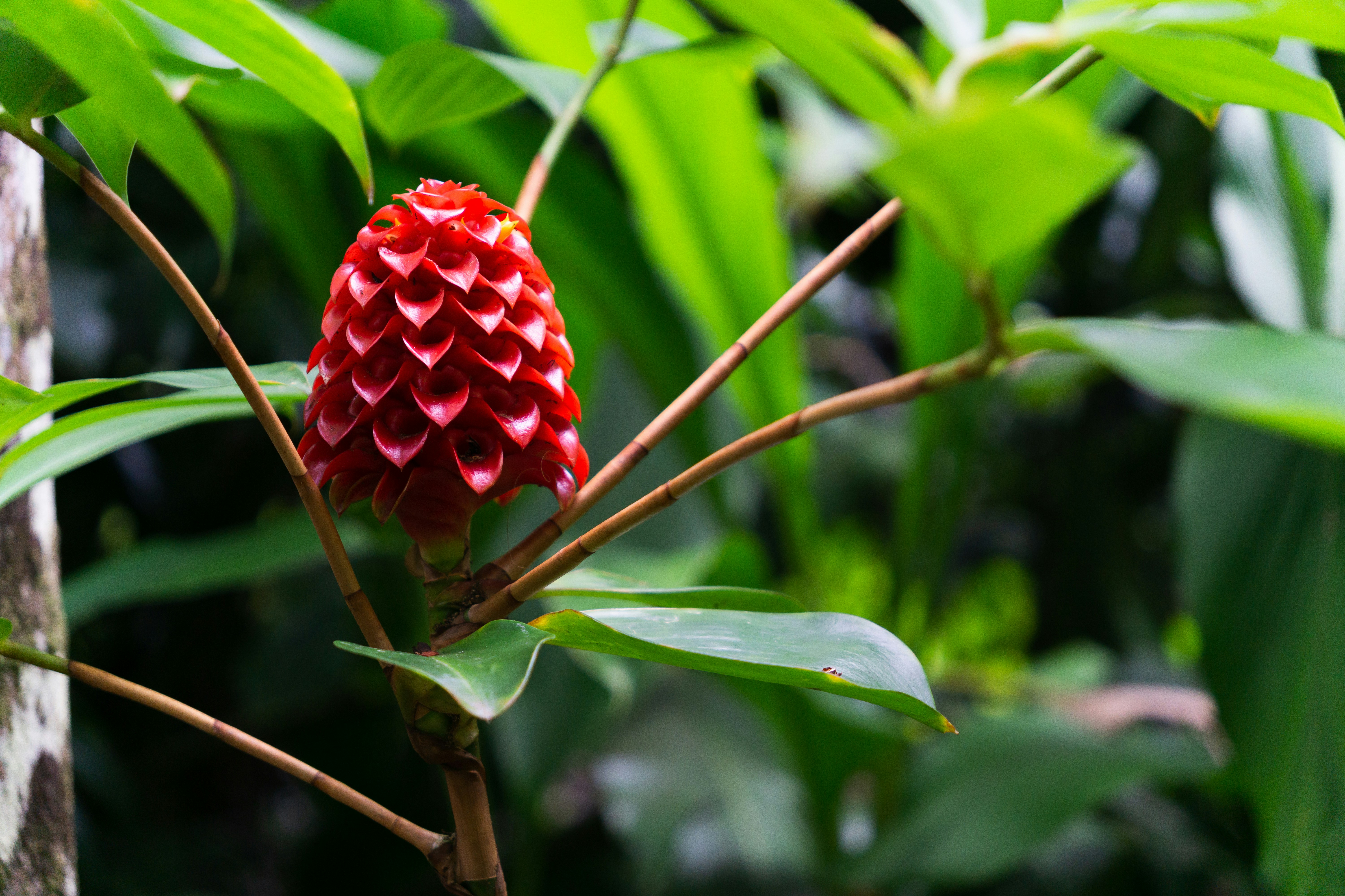 Photo by computergeek347