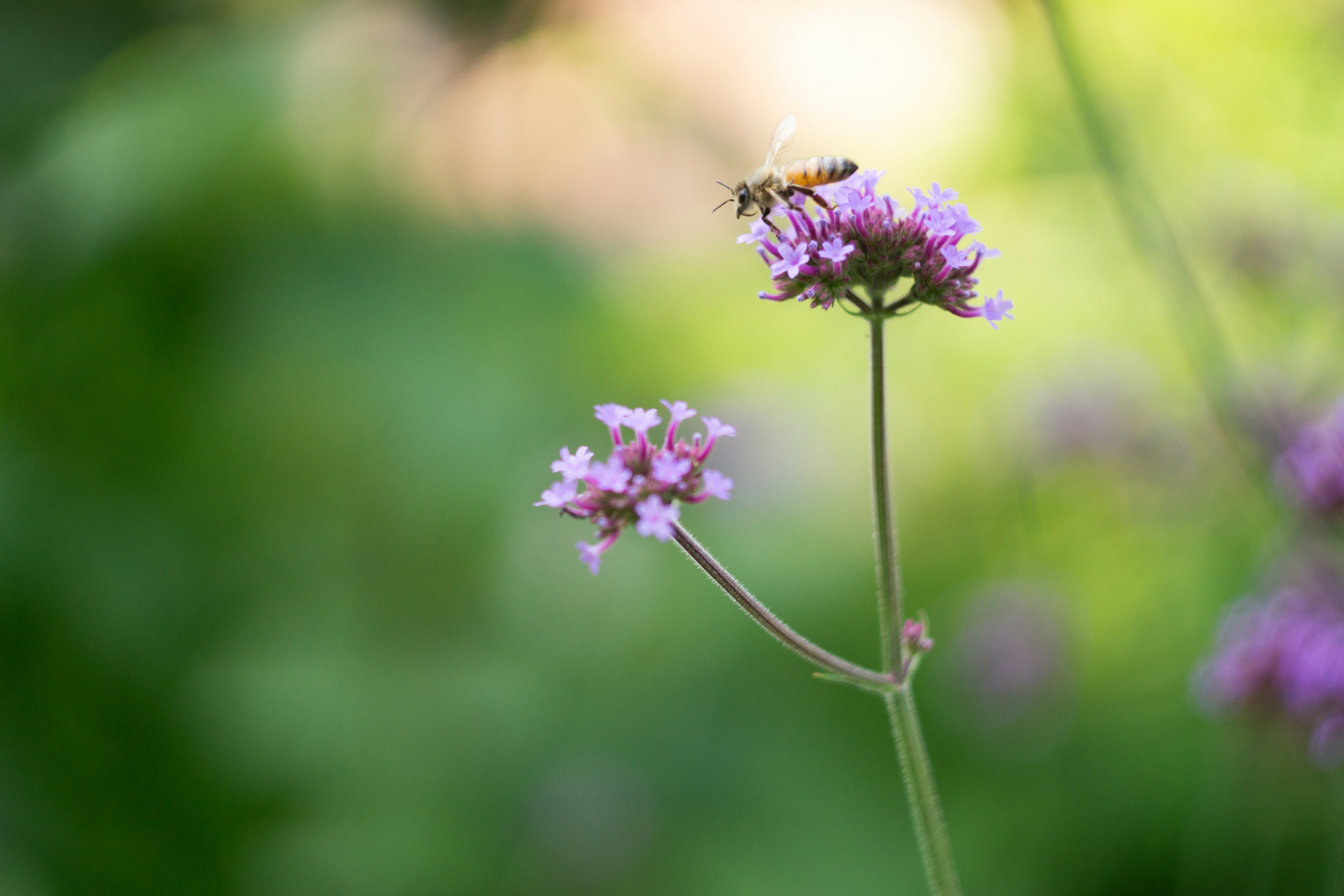 Photo by computergeek347