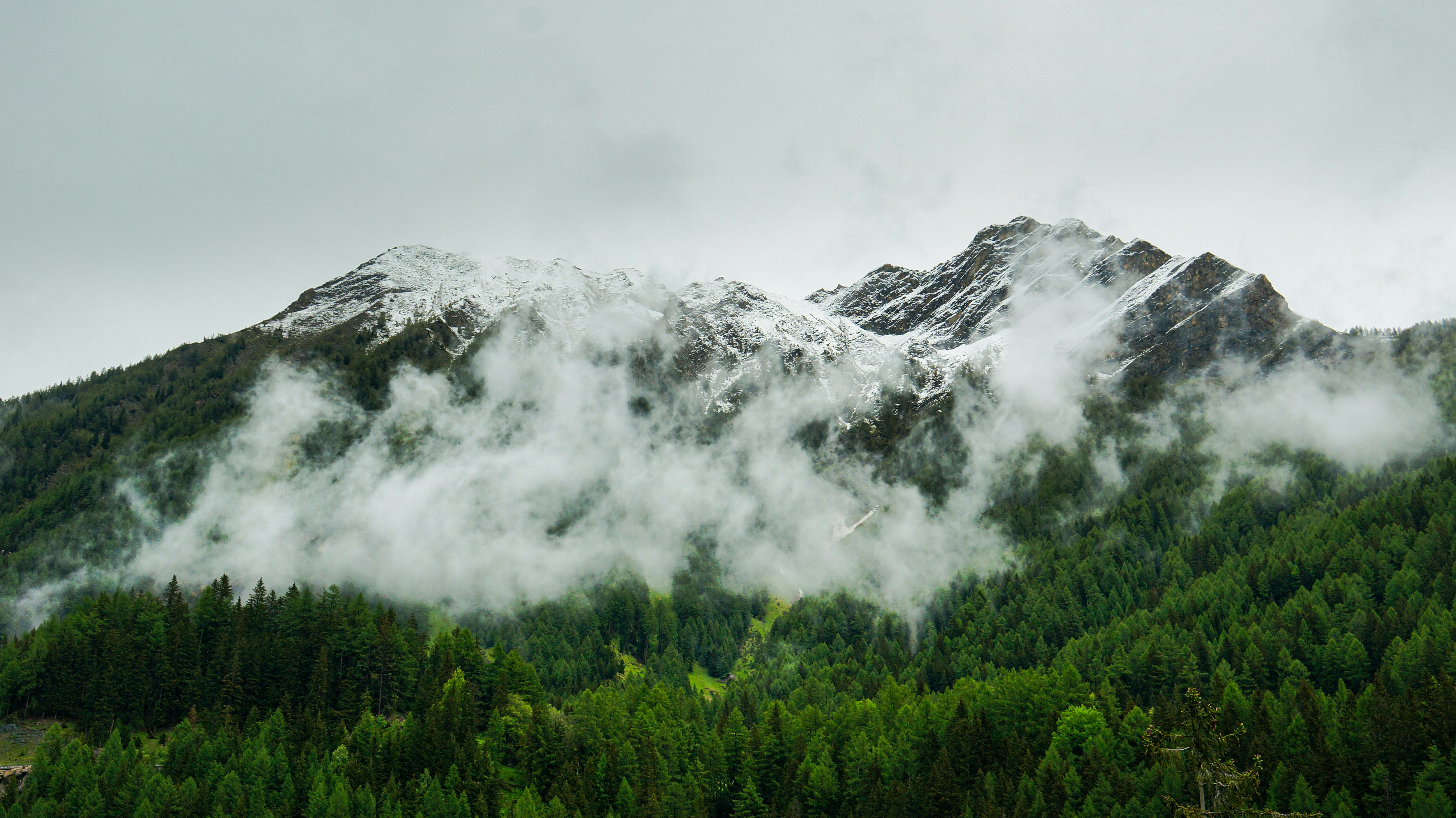 a mountain covered in clouds and trees on a cloudy day