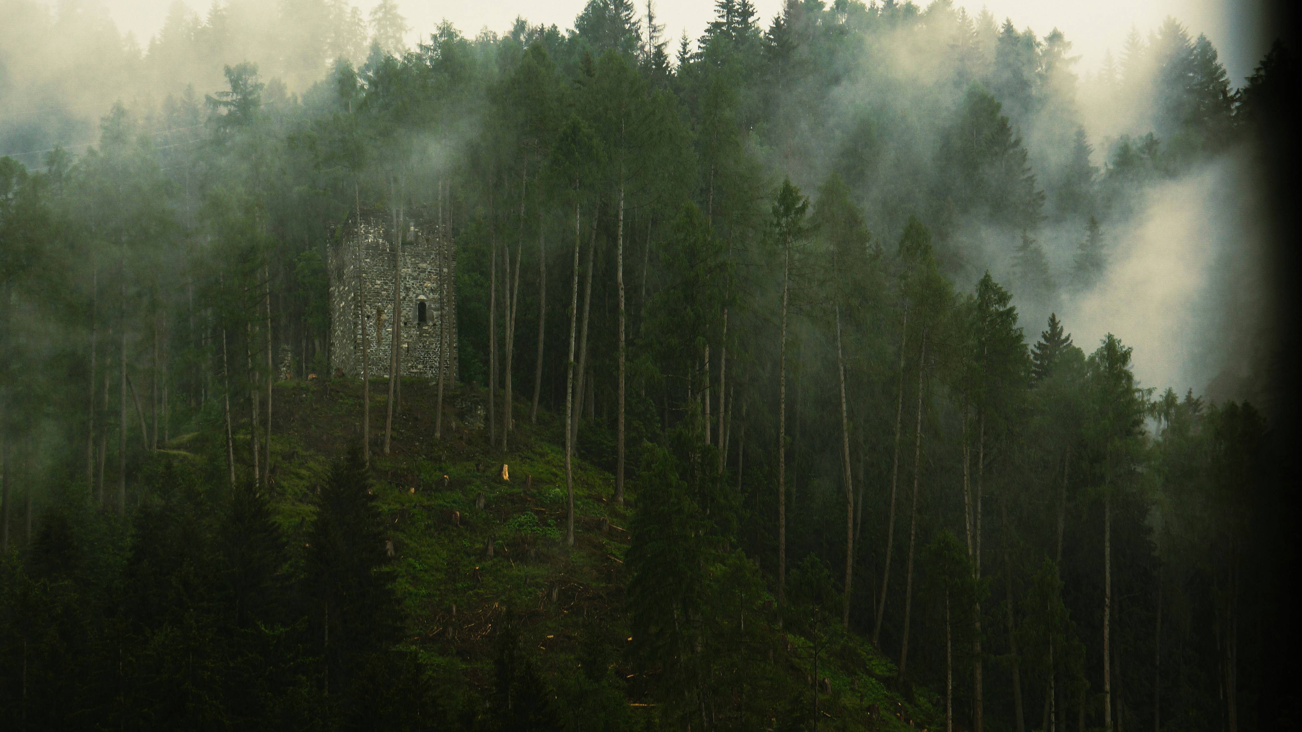 a tall tower sitting on top of a lush green forest