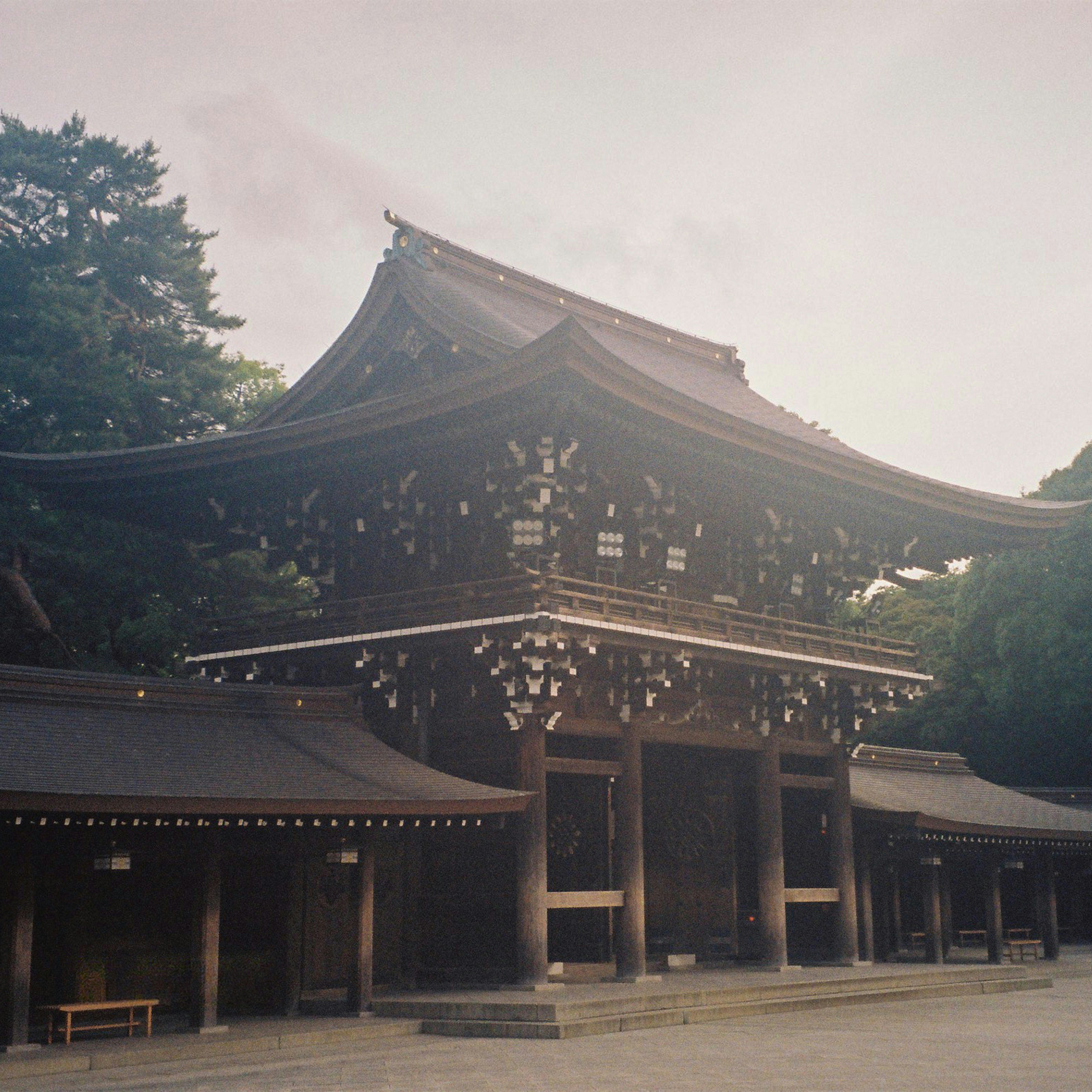 Photo by chasecreate