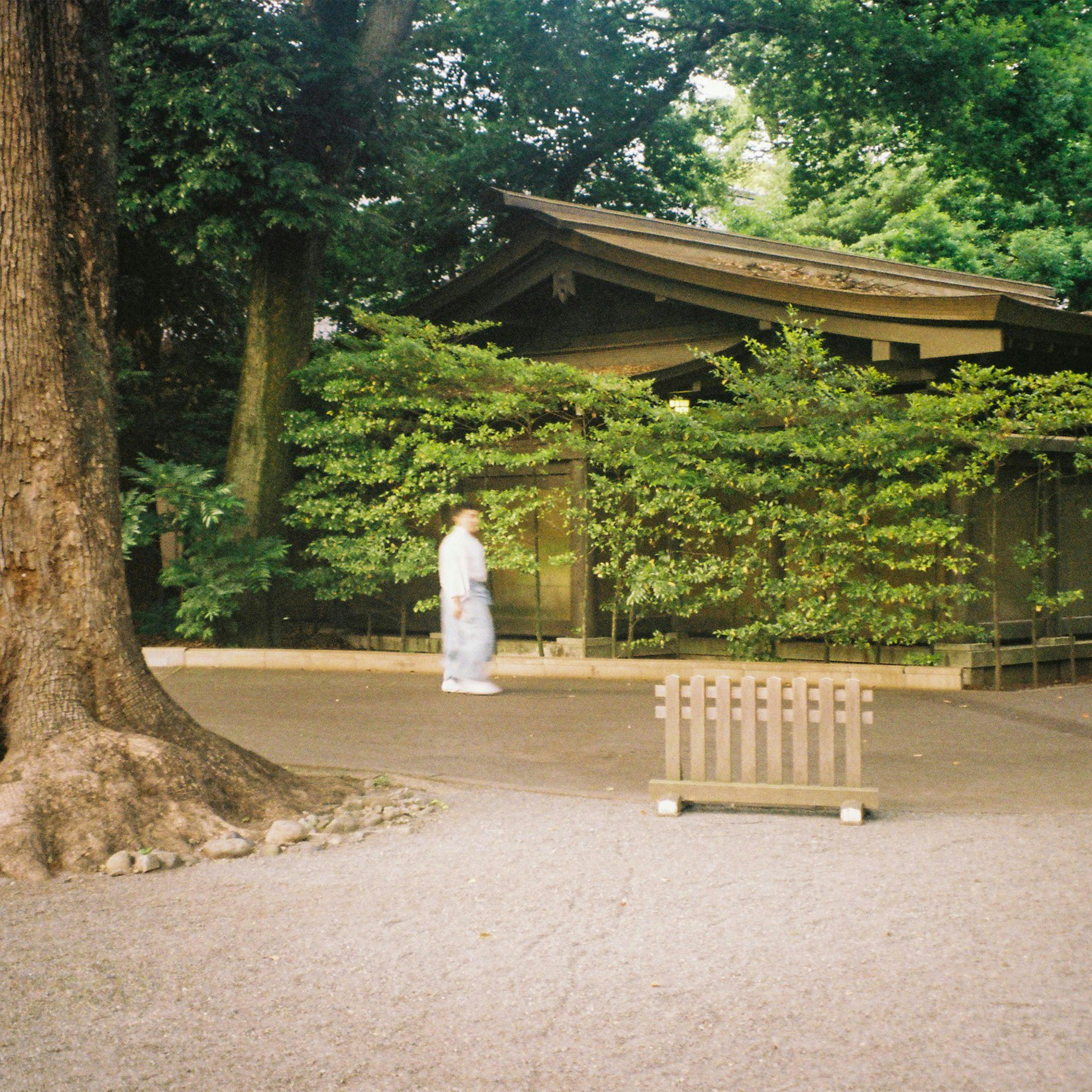 a woman standing in front of a tree in a park