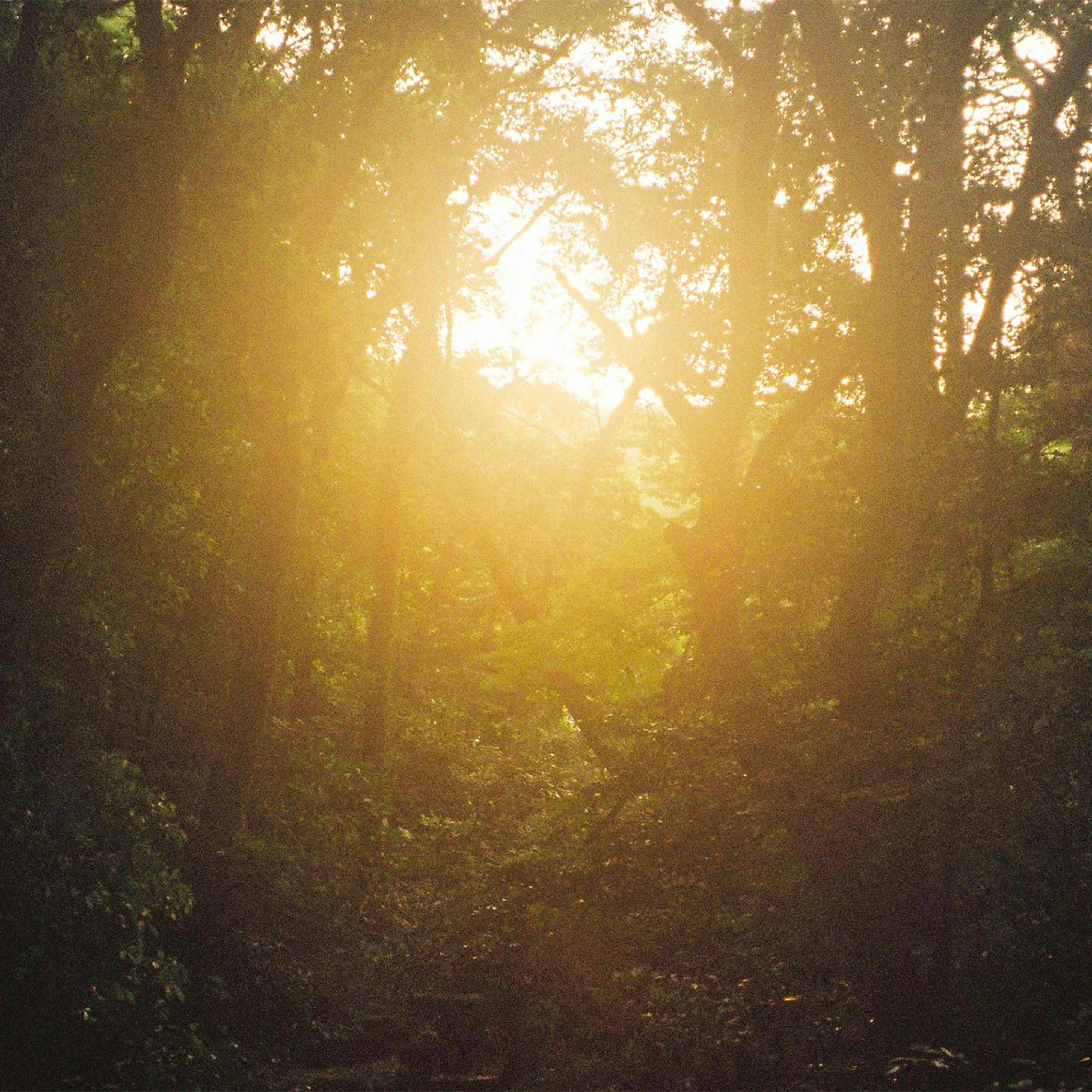 Photo by chasecreate