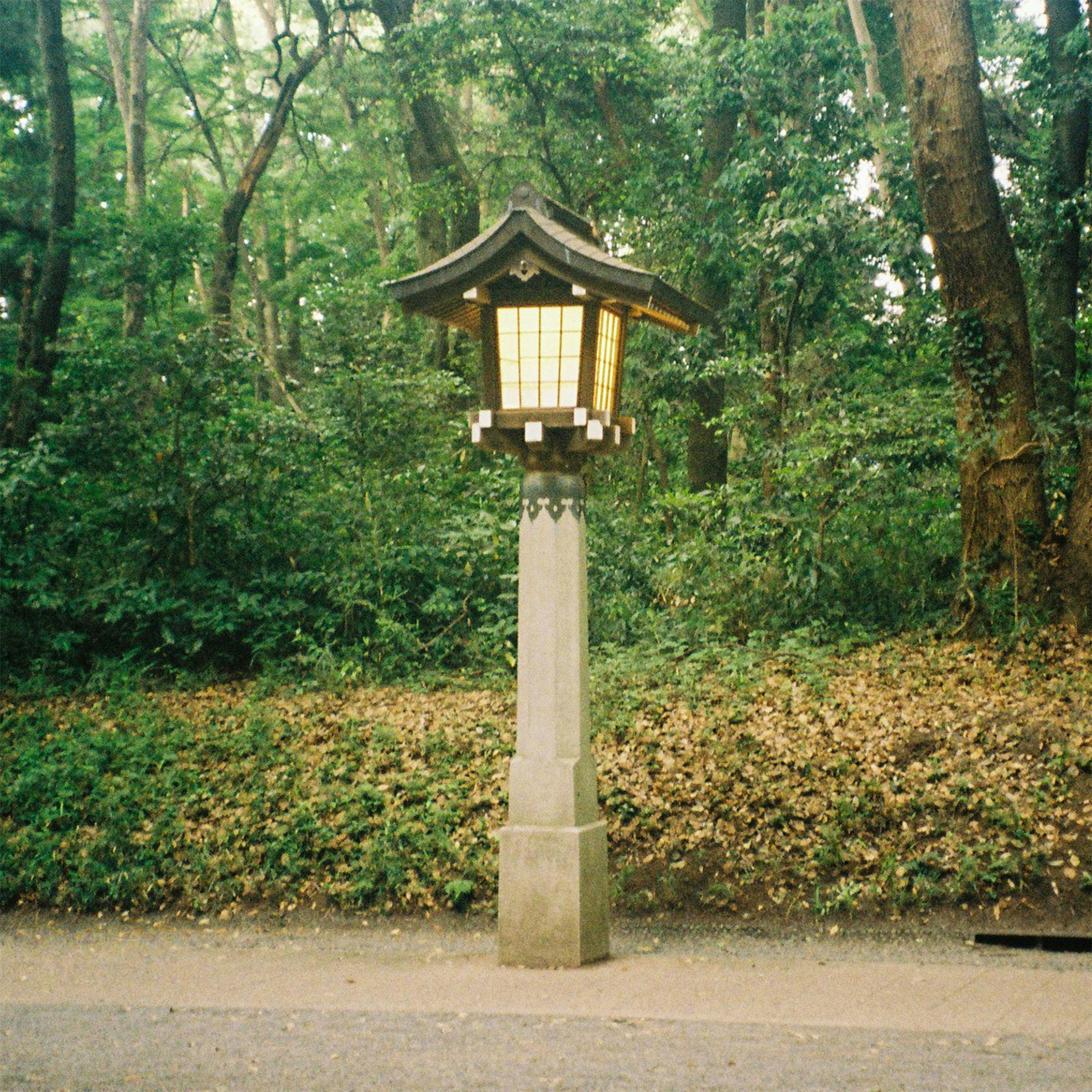 a lamp post in the middle of a park