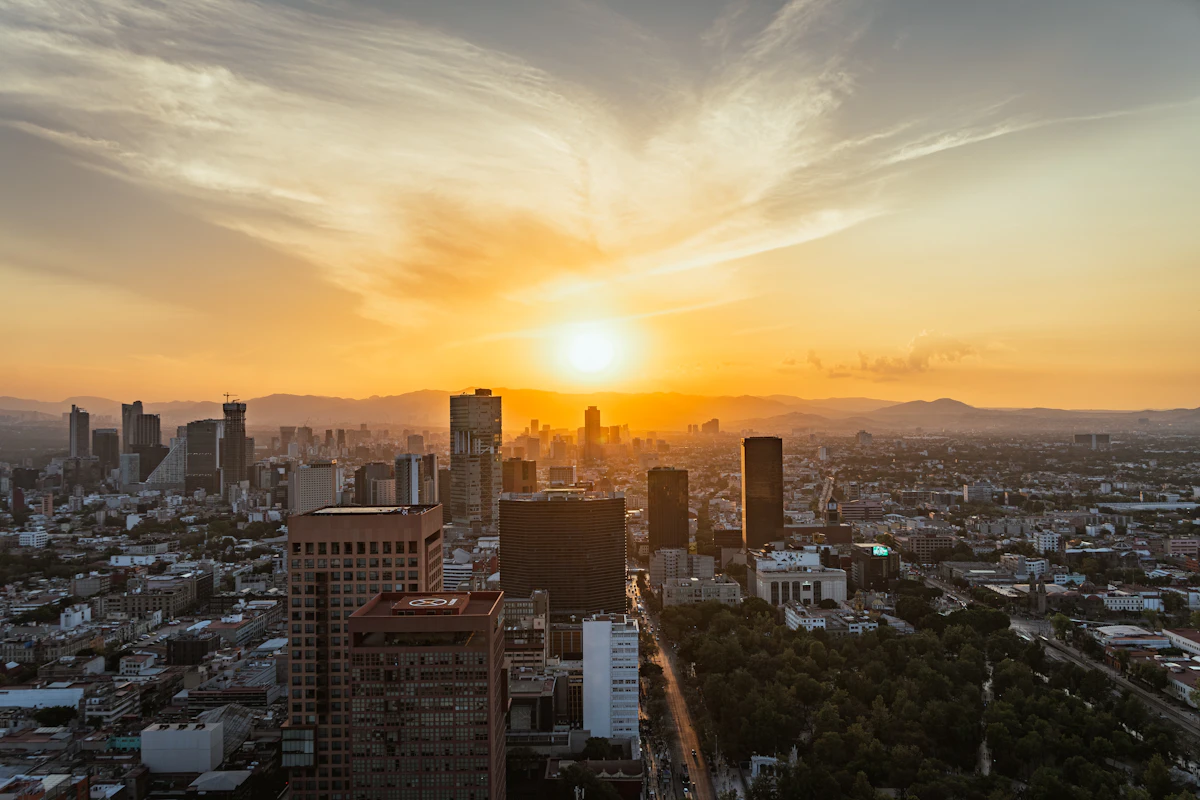 High-rise towers above a tree-lined avenue in Mexico City