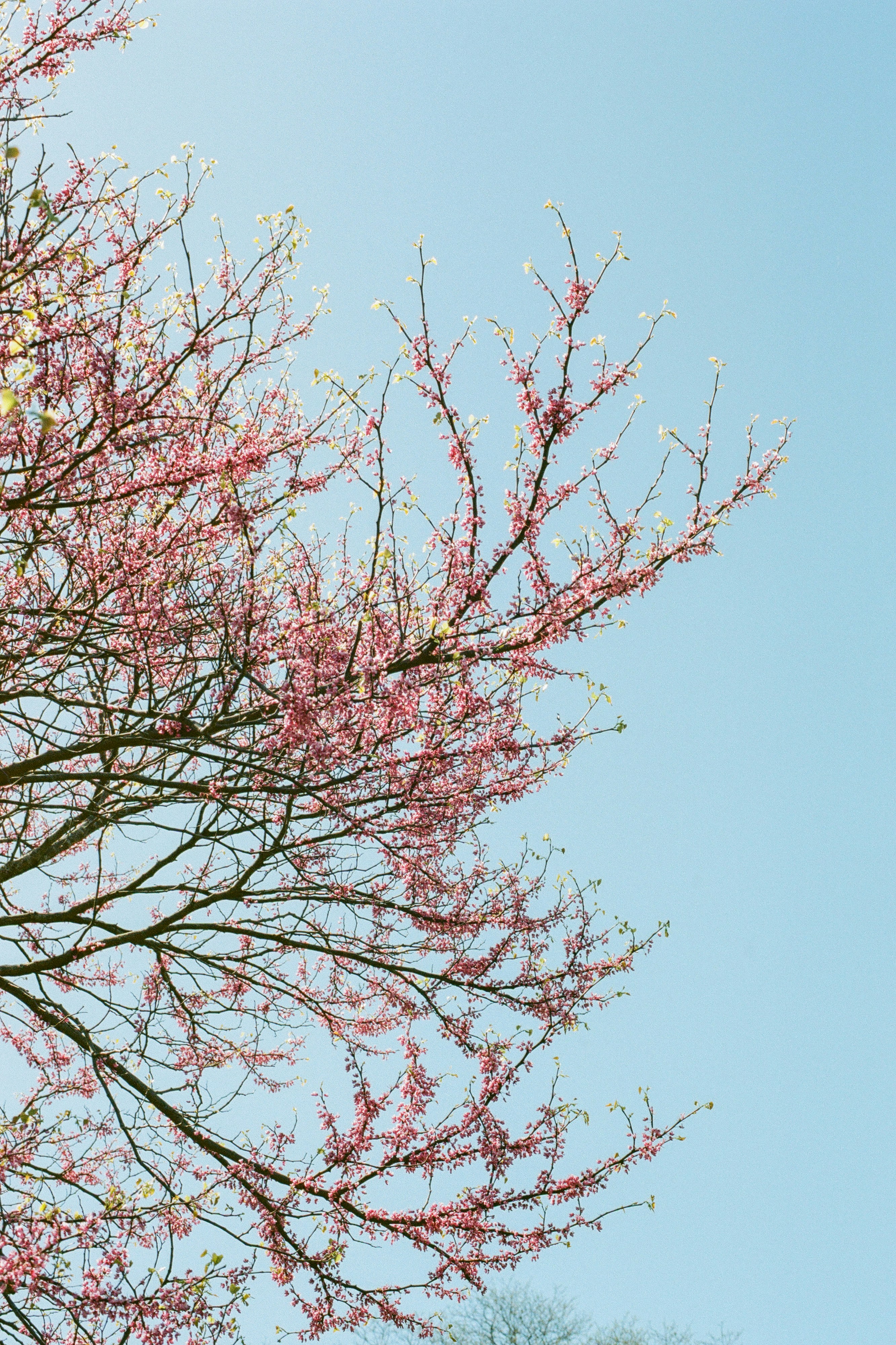 Photo by ukprajapati