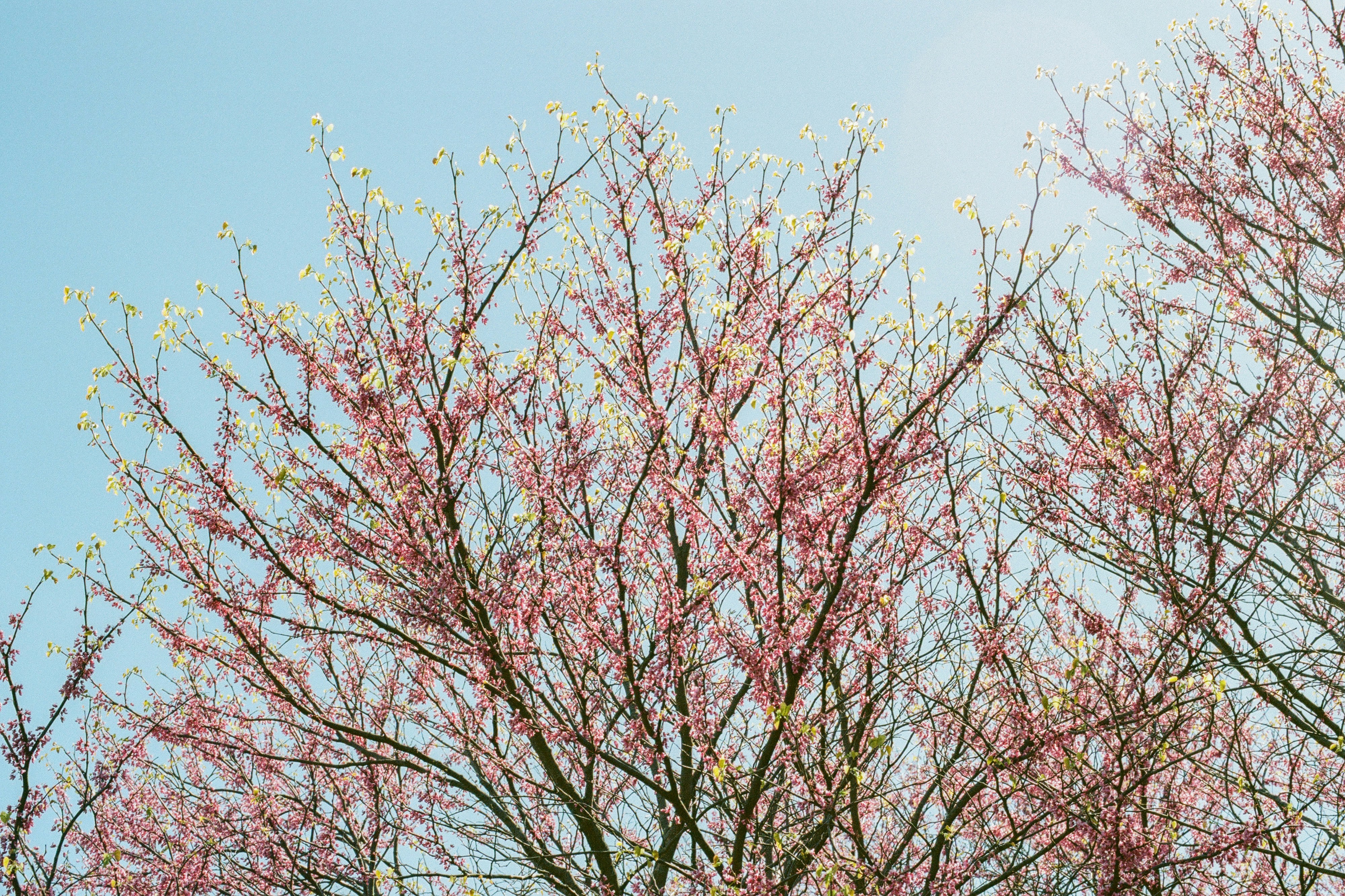 Photo by ukprajapati