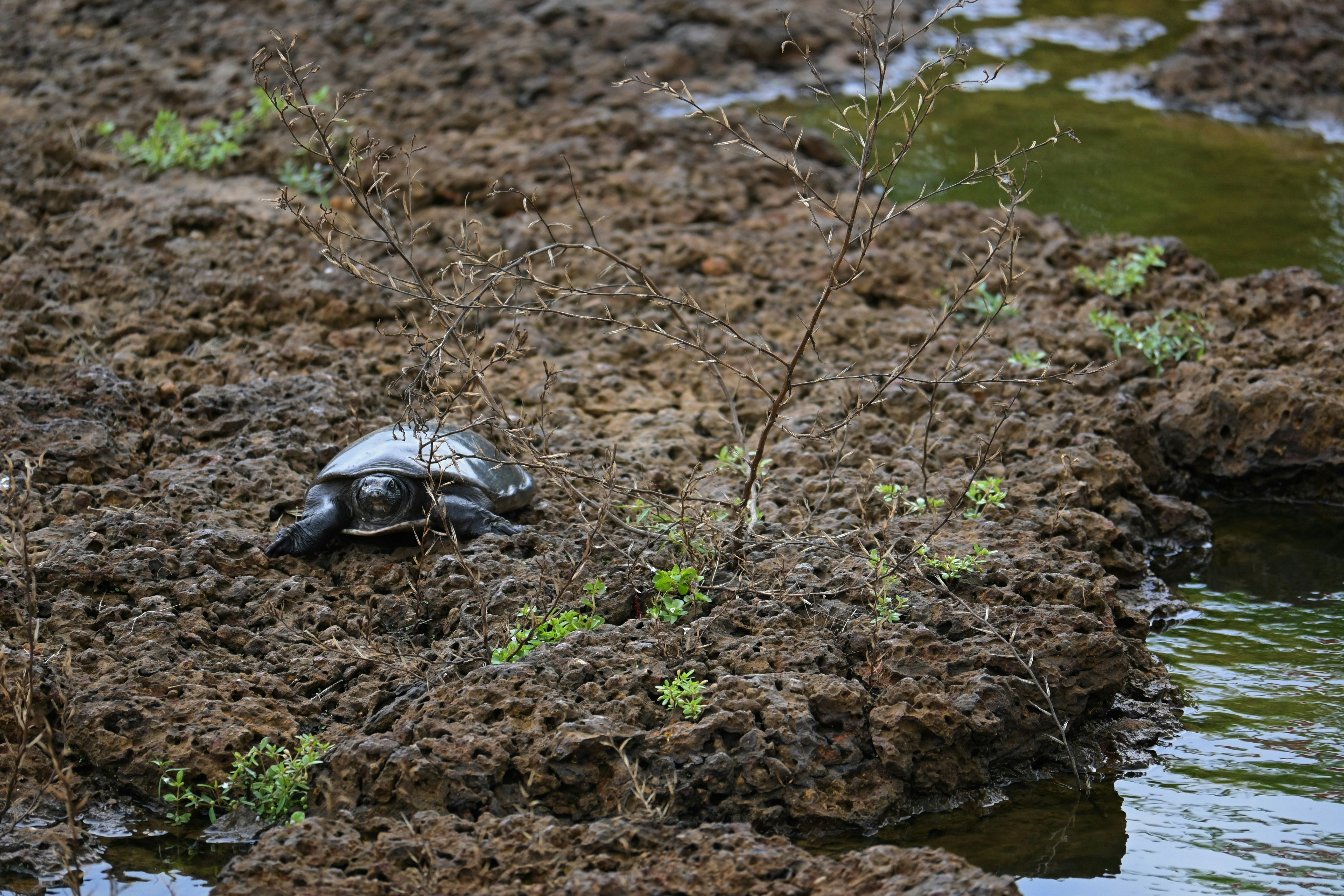 Photo by praswinprakashan