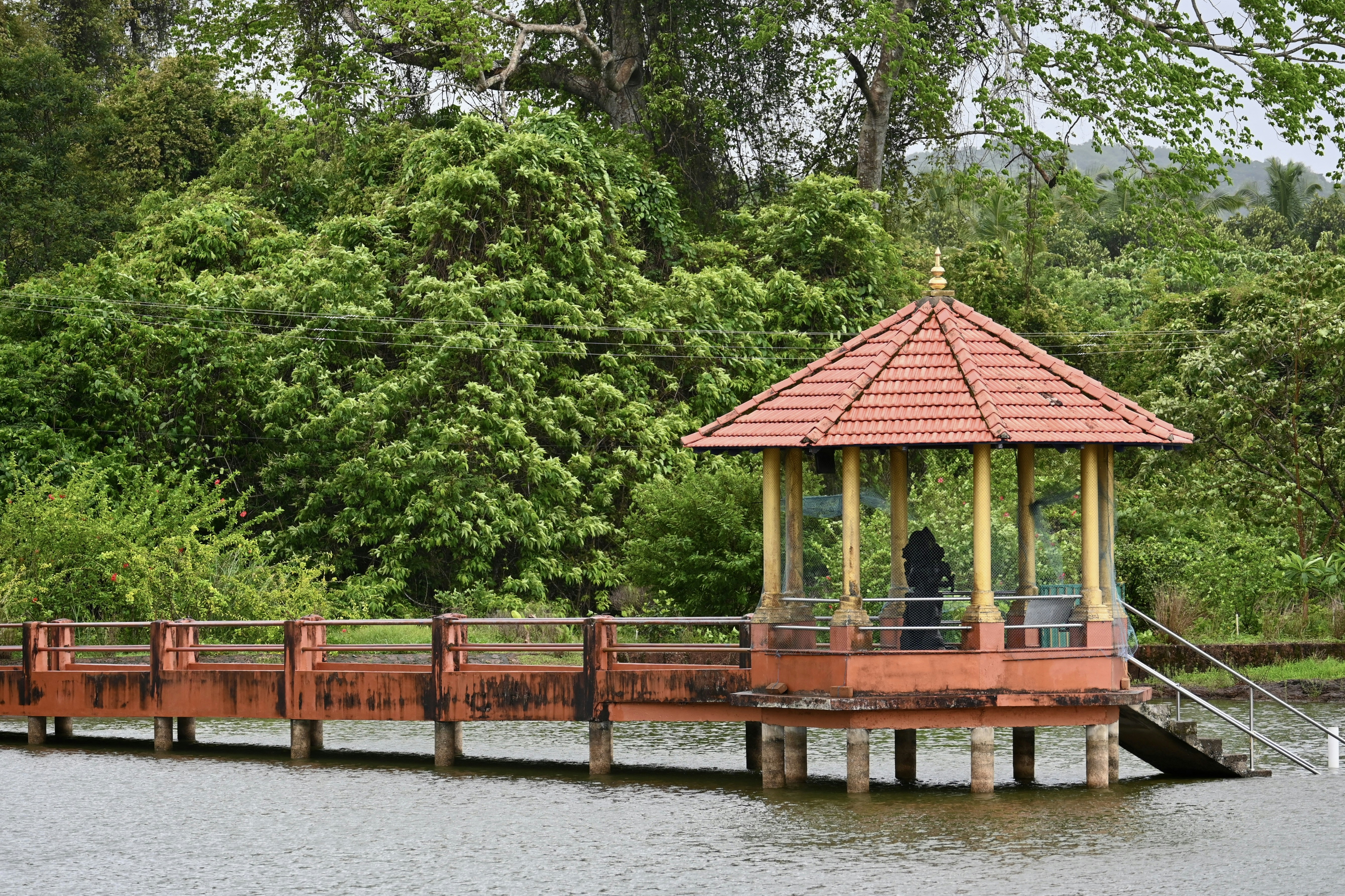 Photo by praswinprakashan