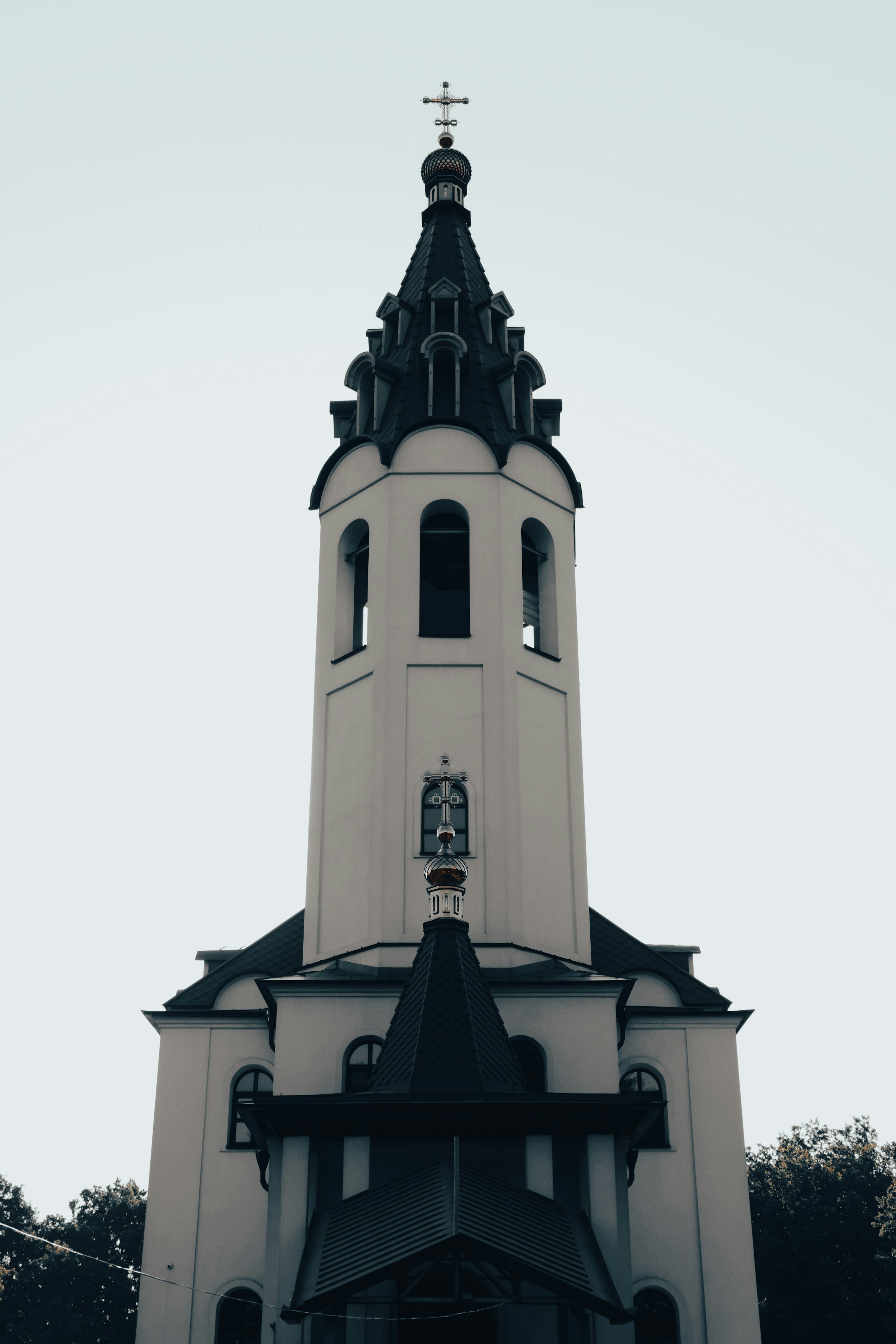 Elegant cornice and molding details in Plaster of Paris.