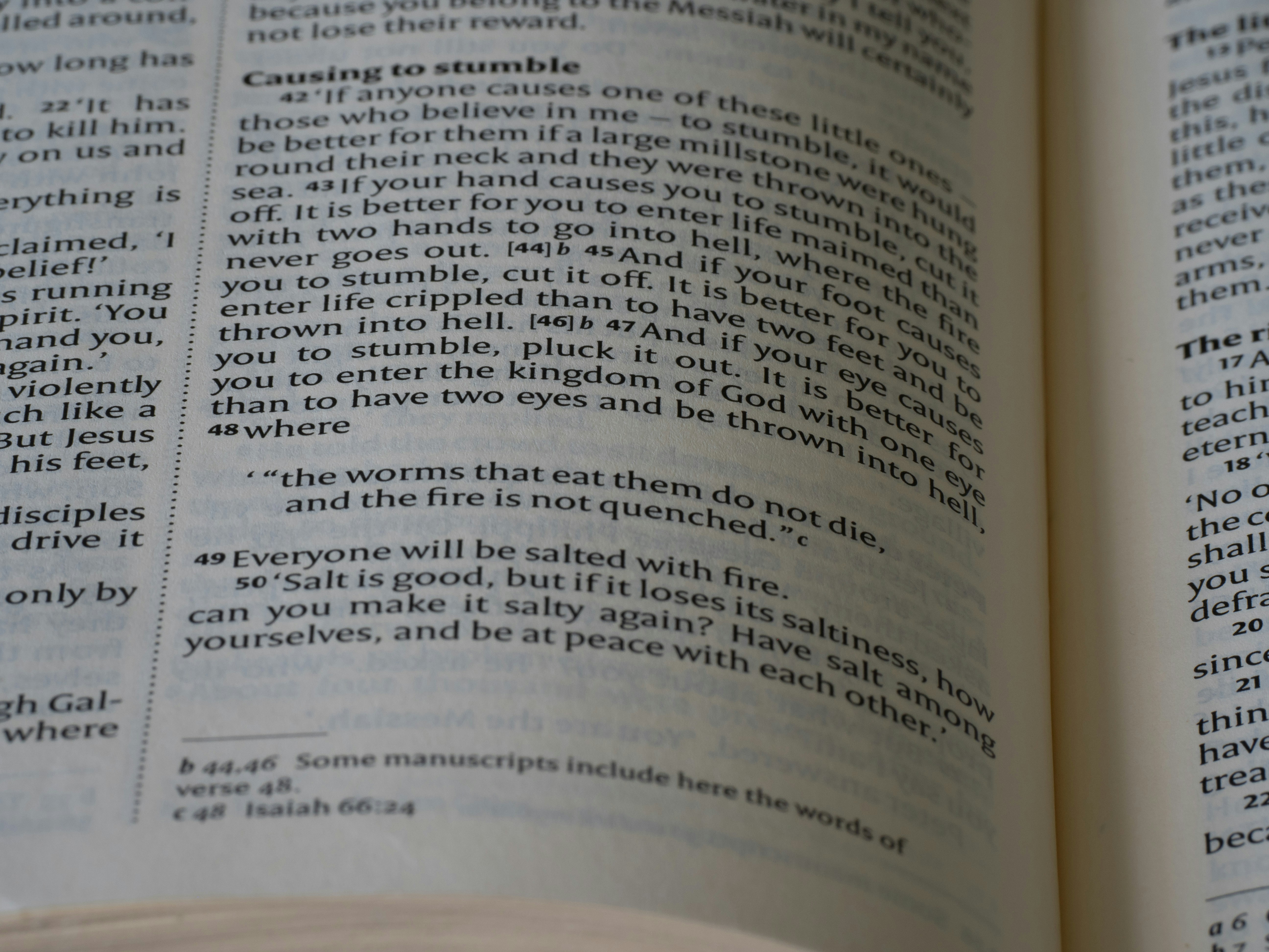 close up, bokeh, bible, new testament, christian, history, text, reading, bible study, devotions, christianity, scripture, Gospel of Mark, Mark, Synoptic Gospel, Gospel,