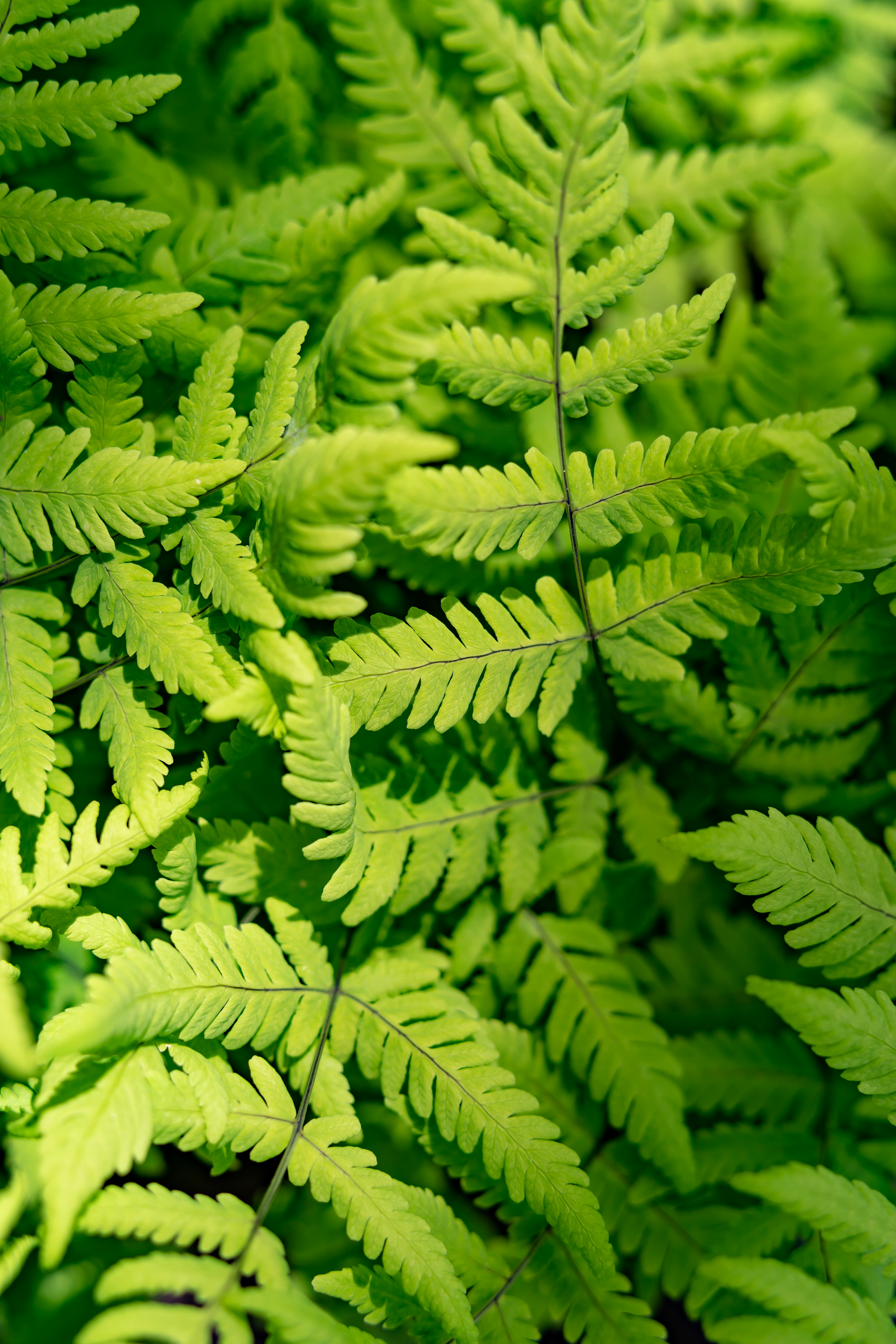 Photo by anamnesis33