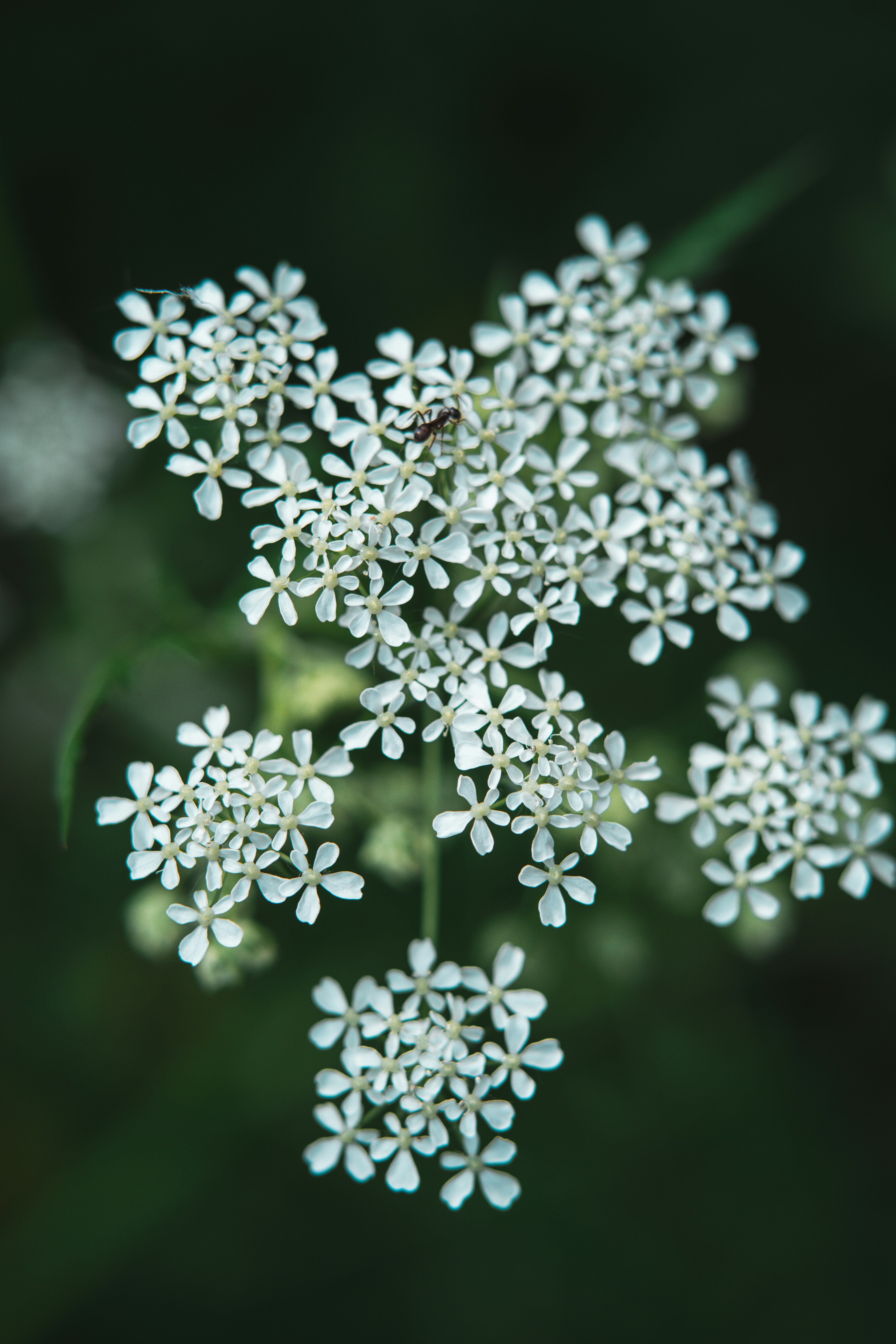 Photo by anamnesis33