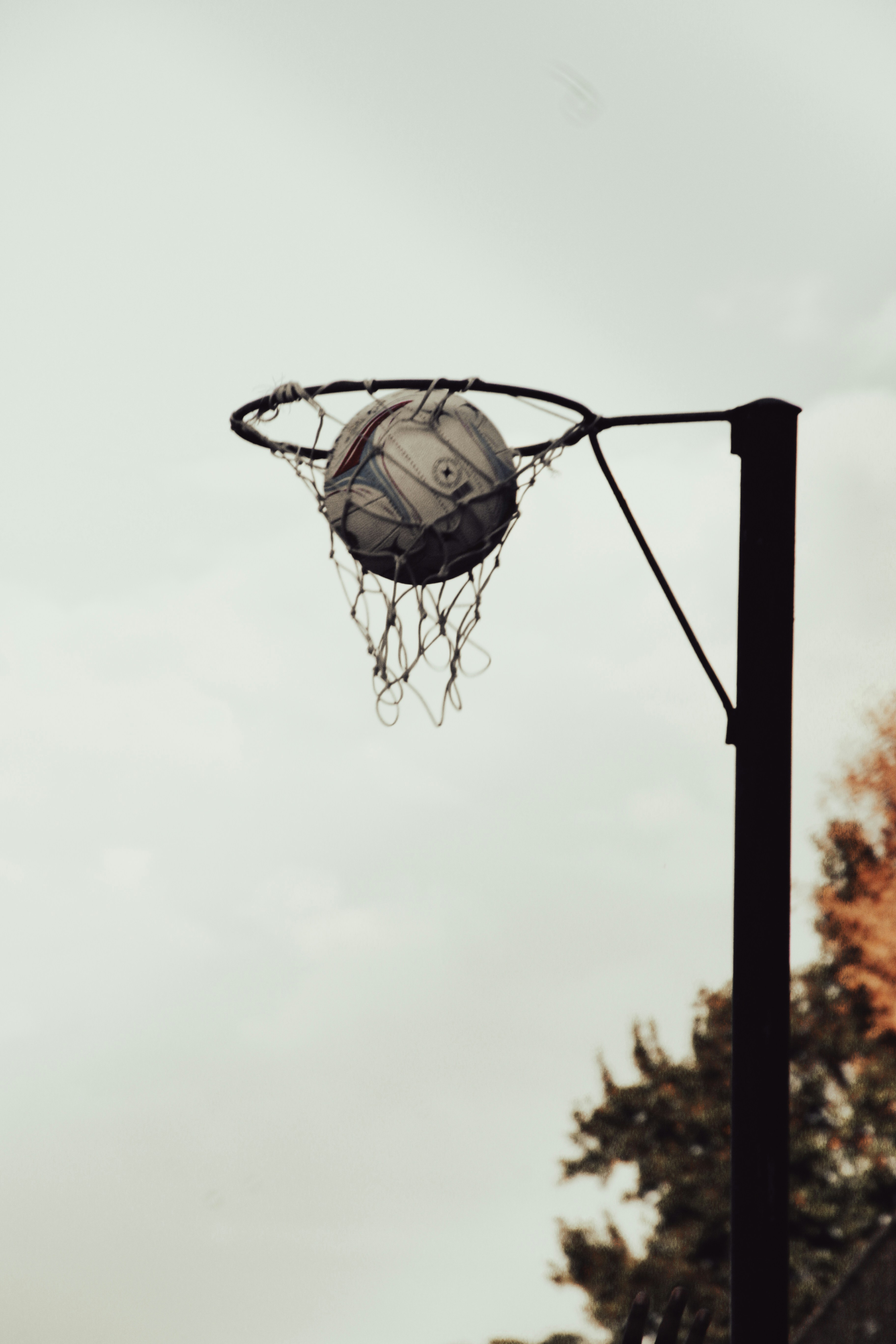 Netball hoop