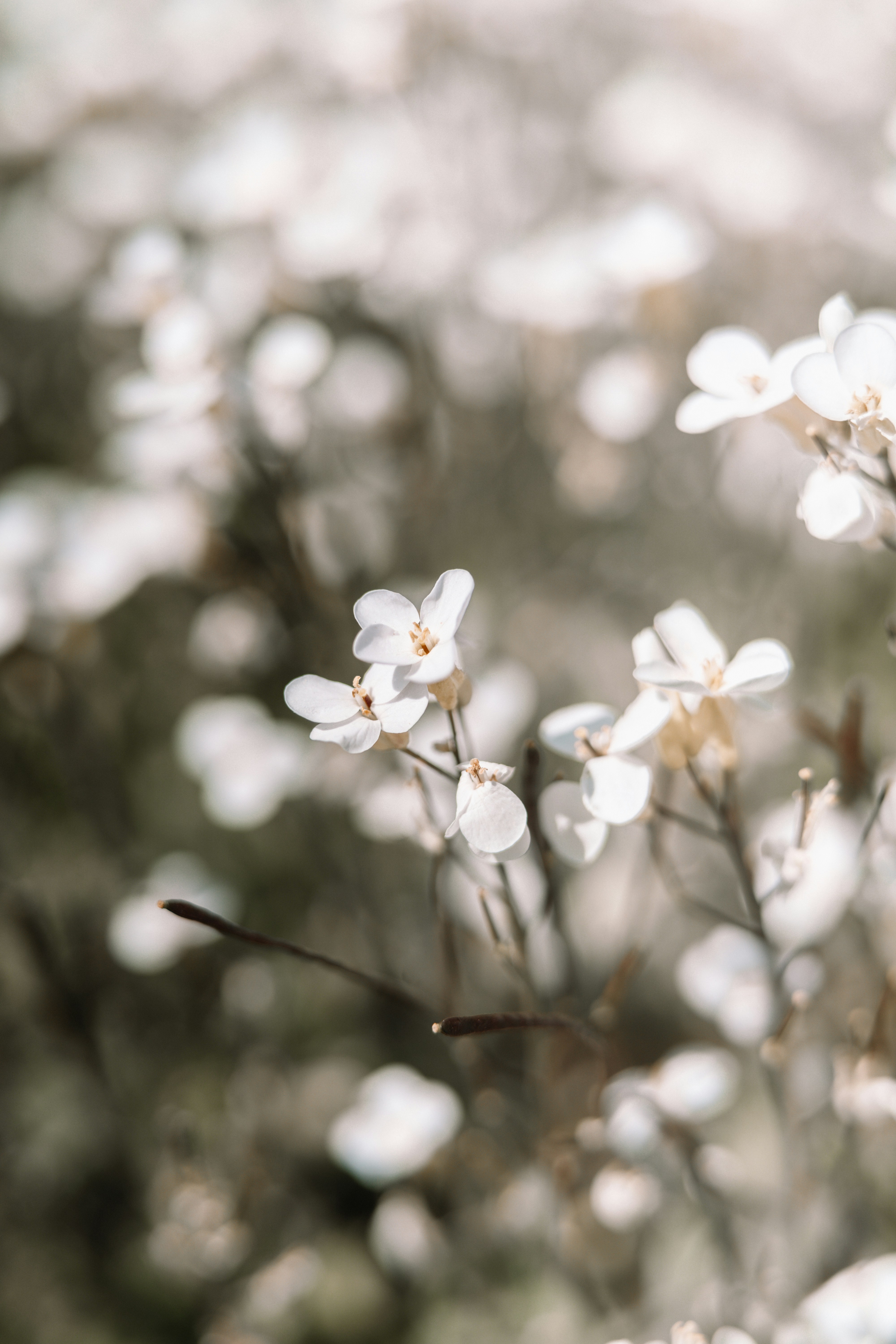 Photo by anamnesis33