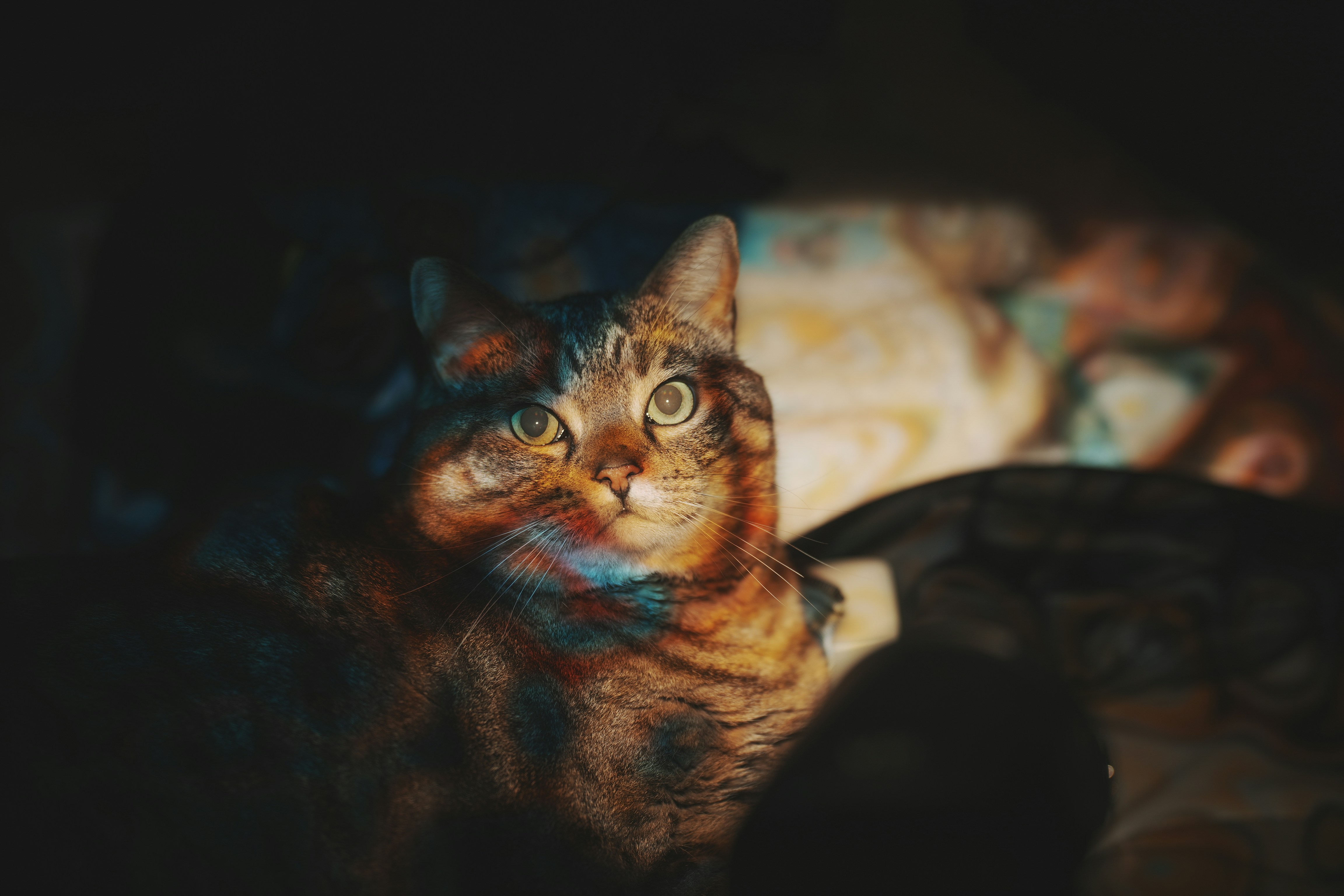 Photo by dorothysheng