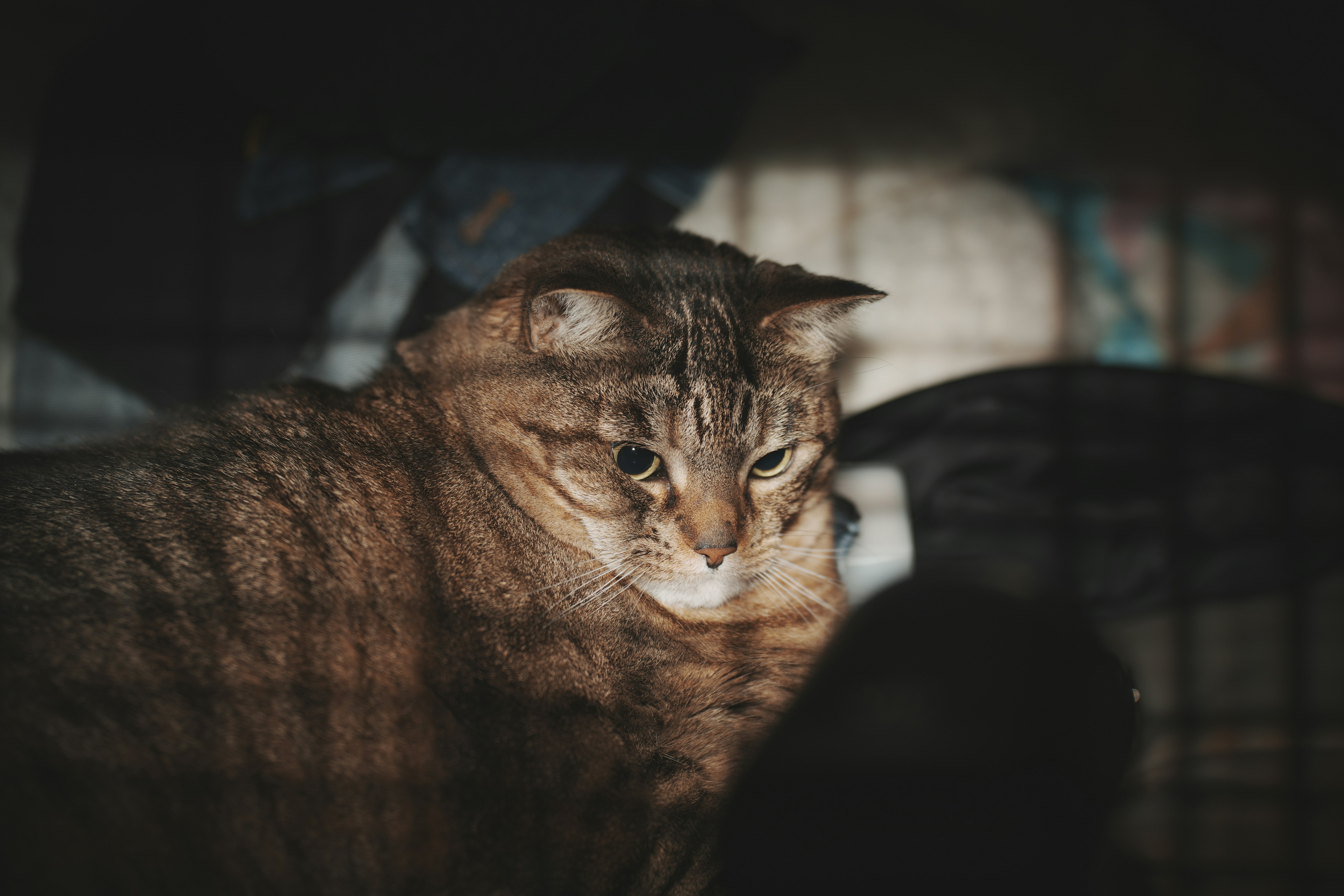 Photo by dorothysheng