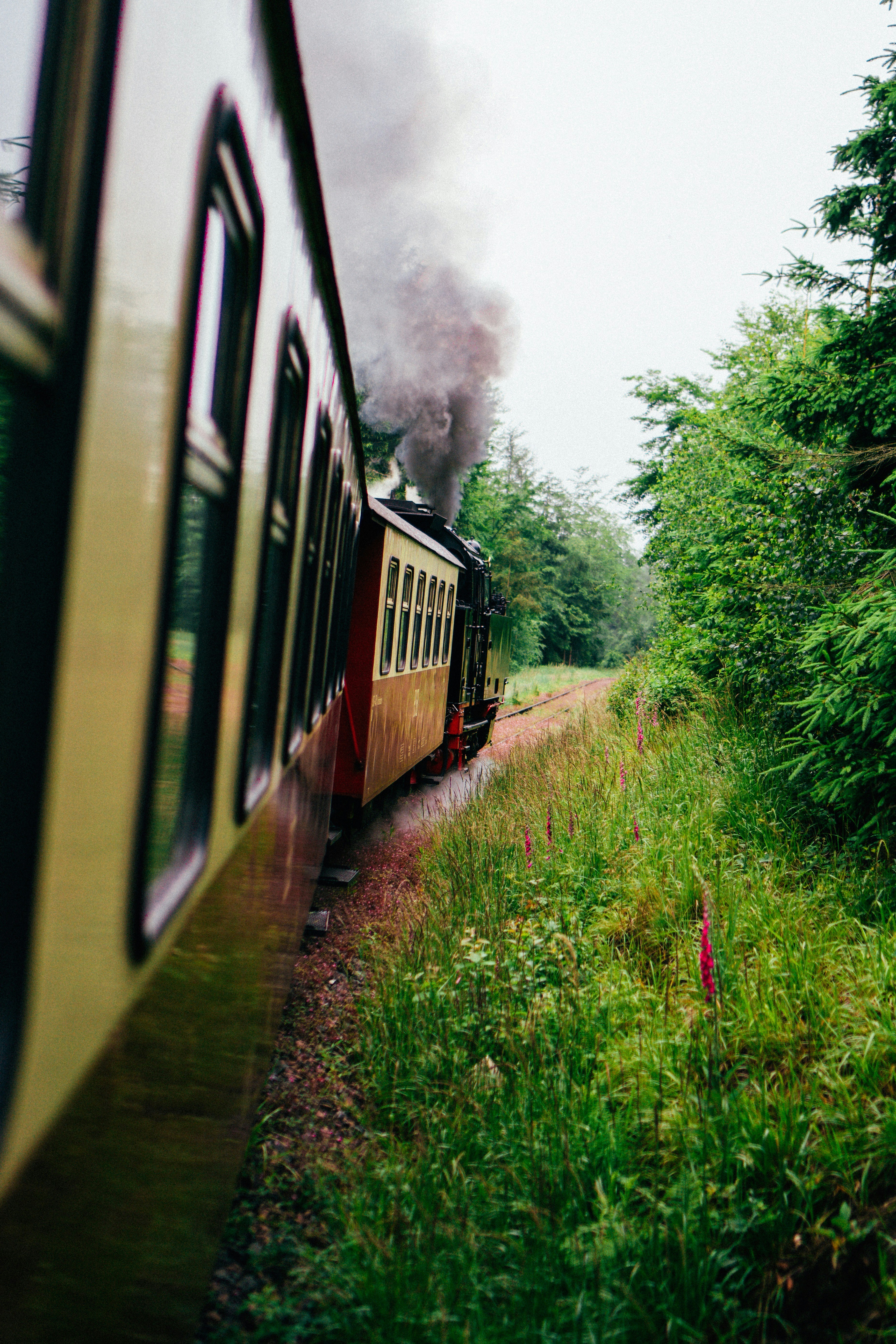 Photo by christianlue