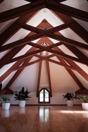 a very large room with some plants in it