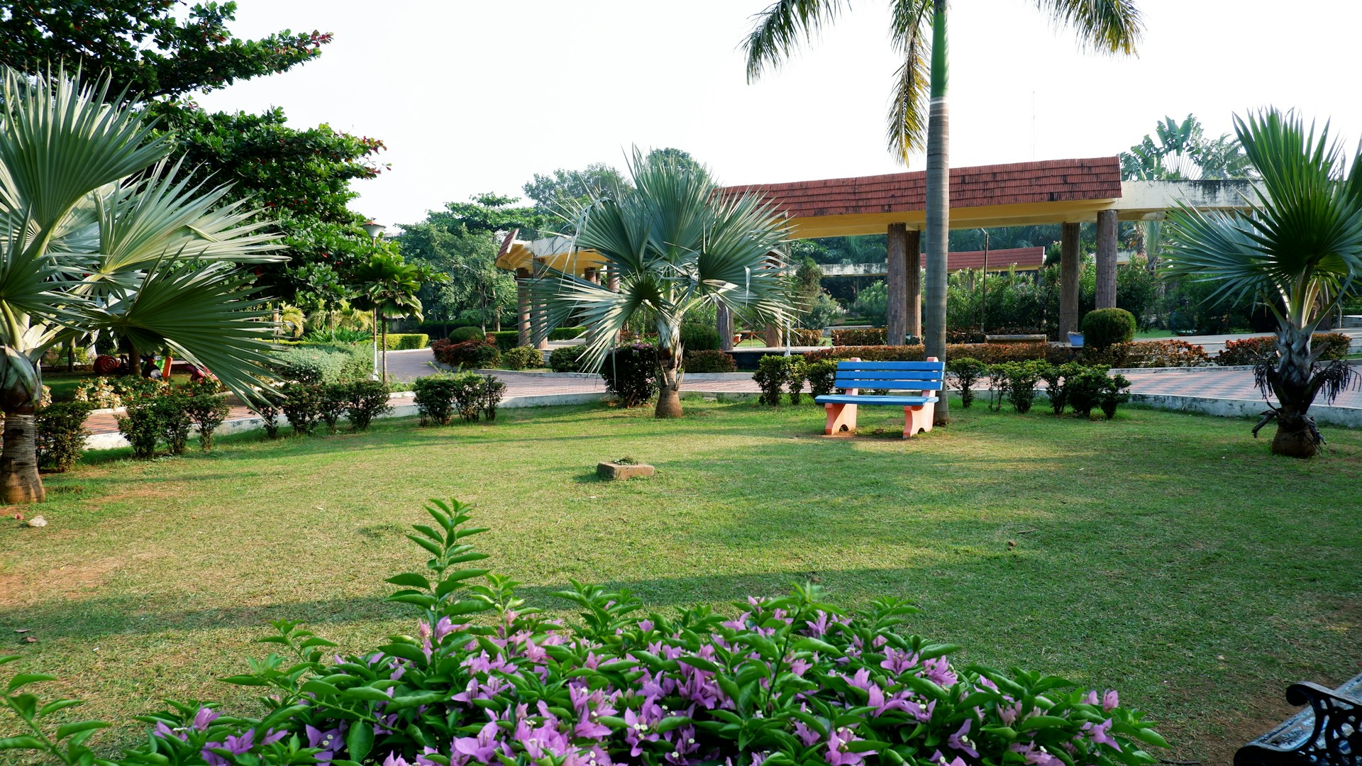 a blue bench sitting in the middle of a lush green park