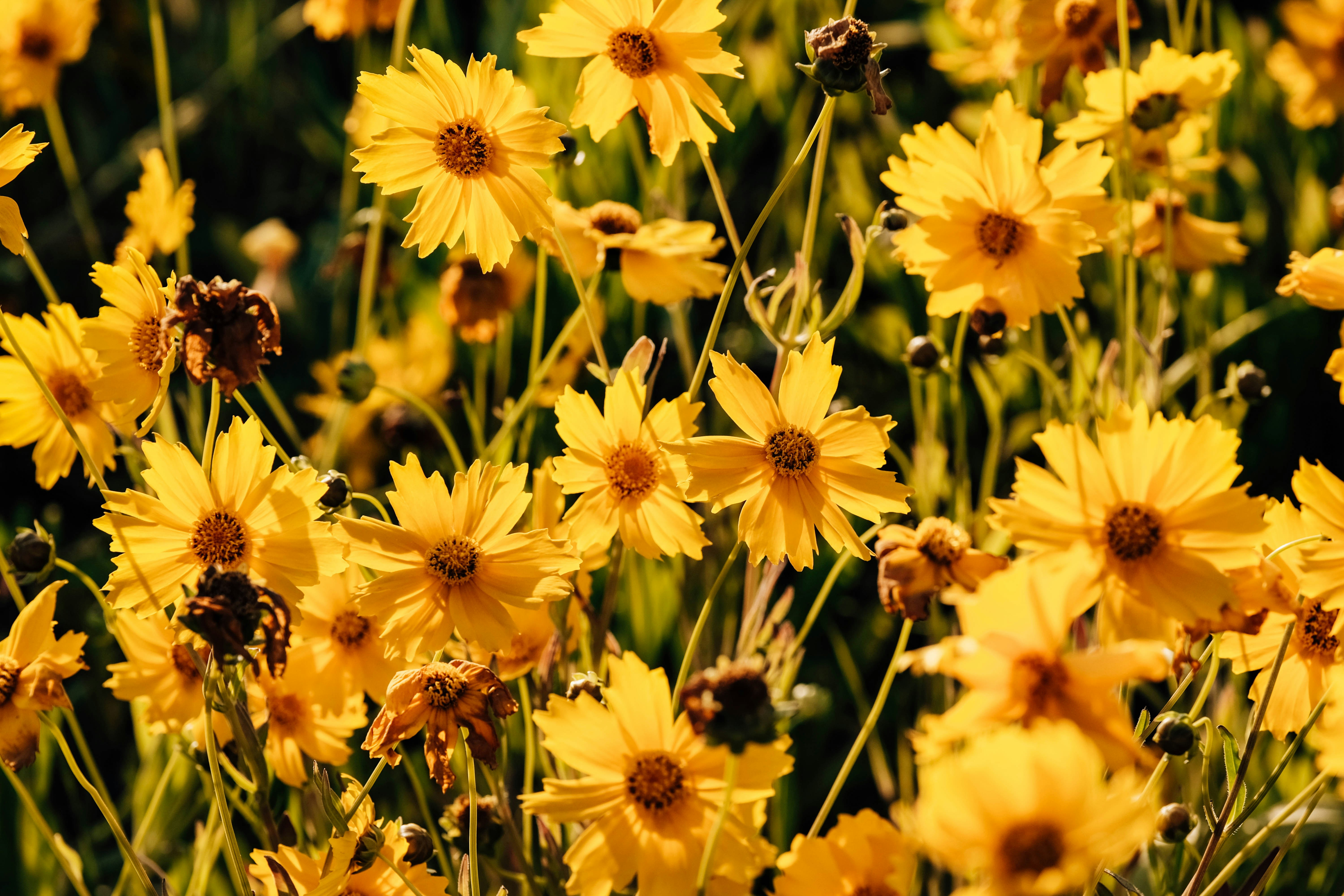 Photo by insungpandora