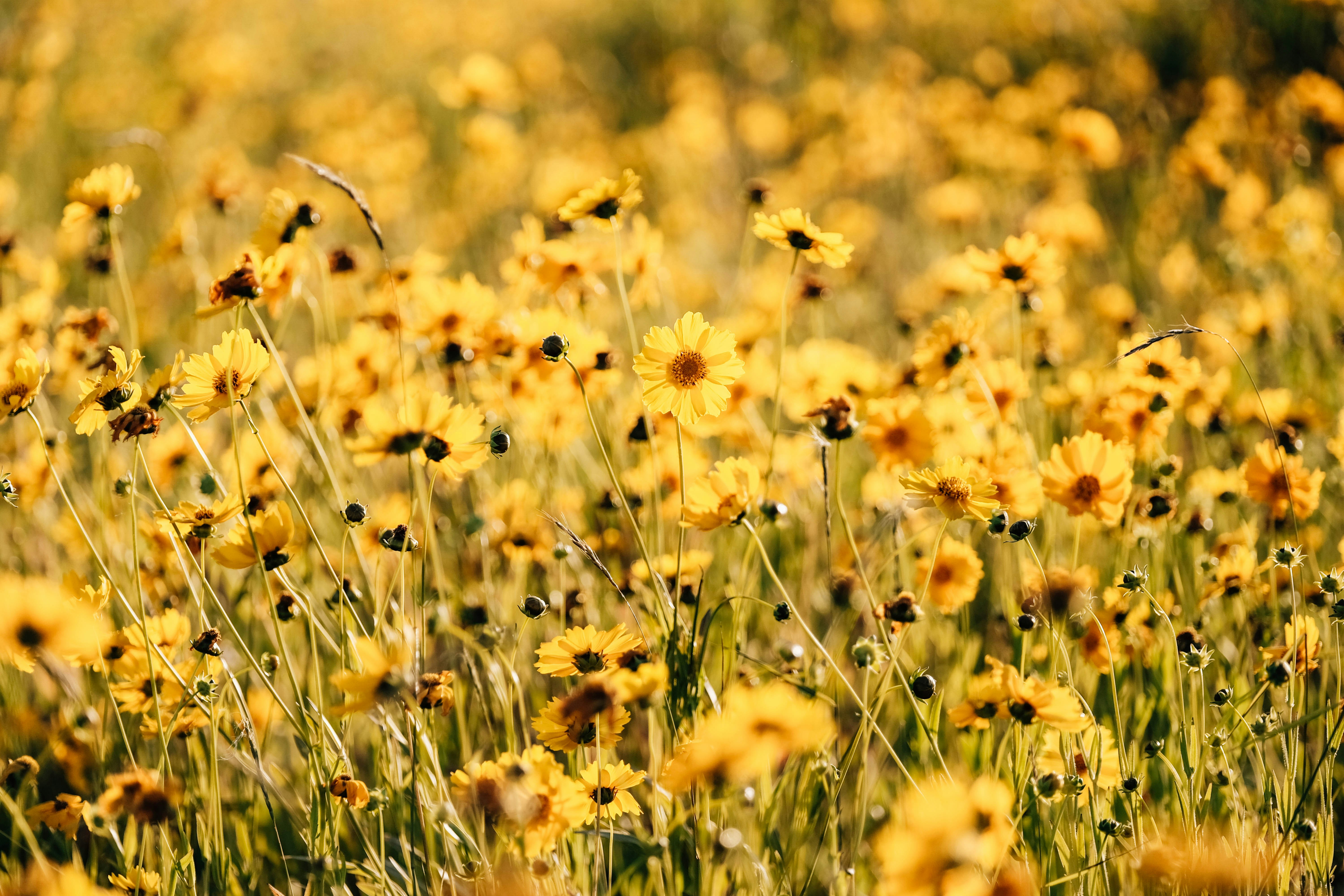 Photo by insungpandora