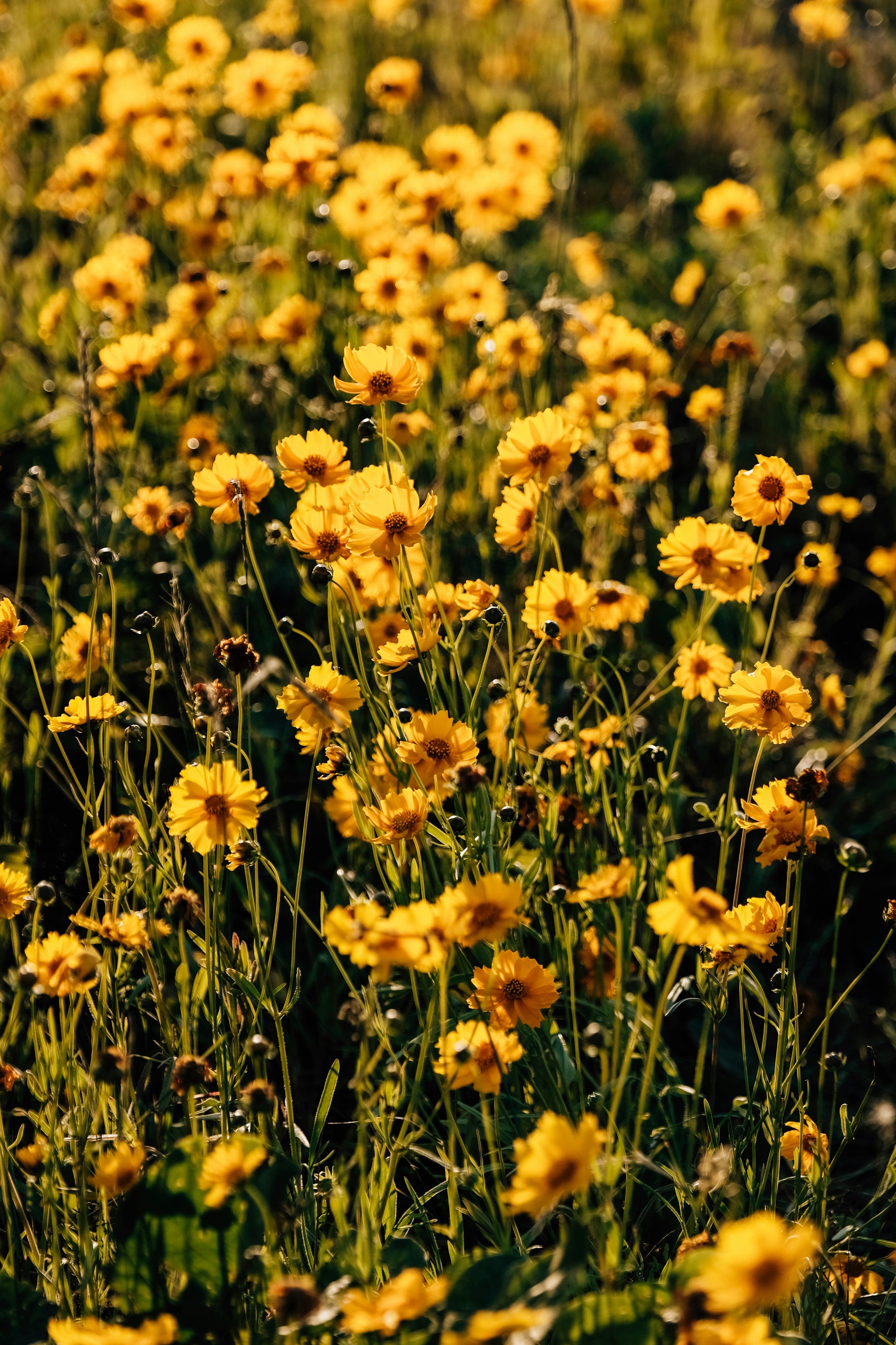 Photo by insungpandora