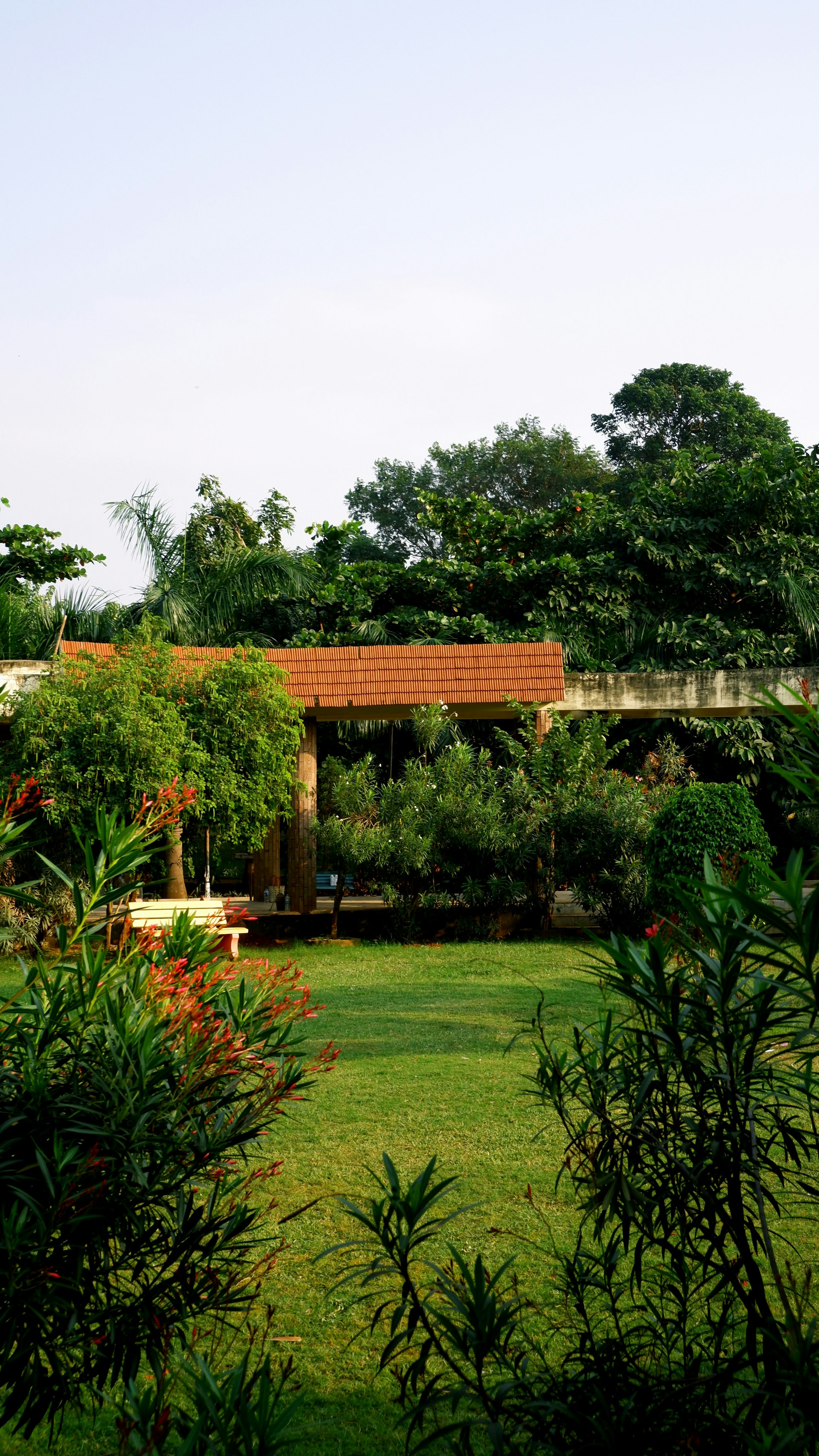 a green yard with trees and a building in the background